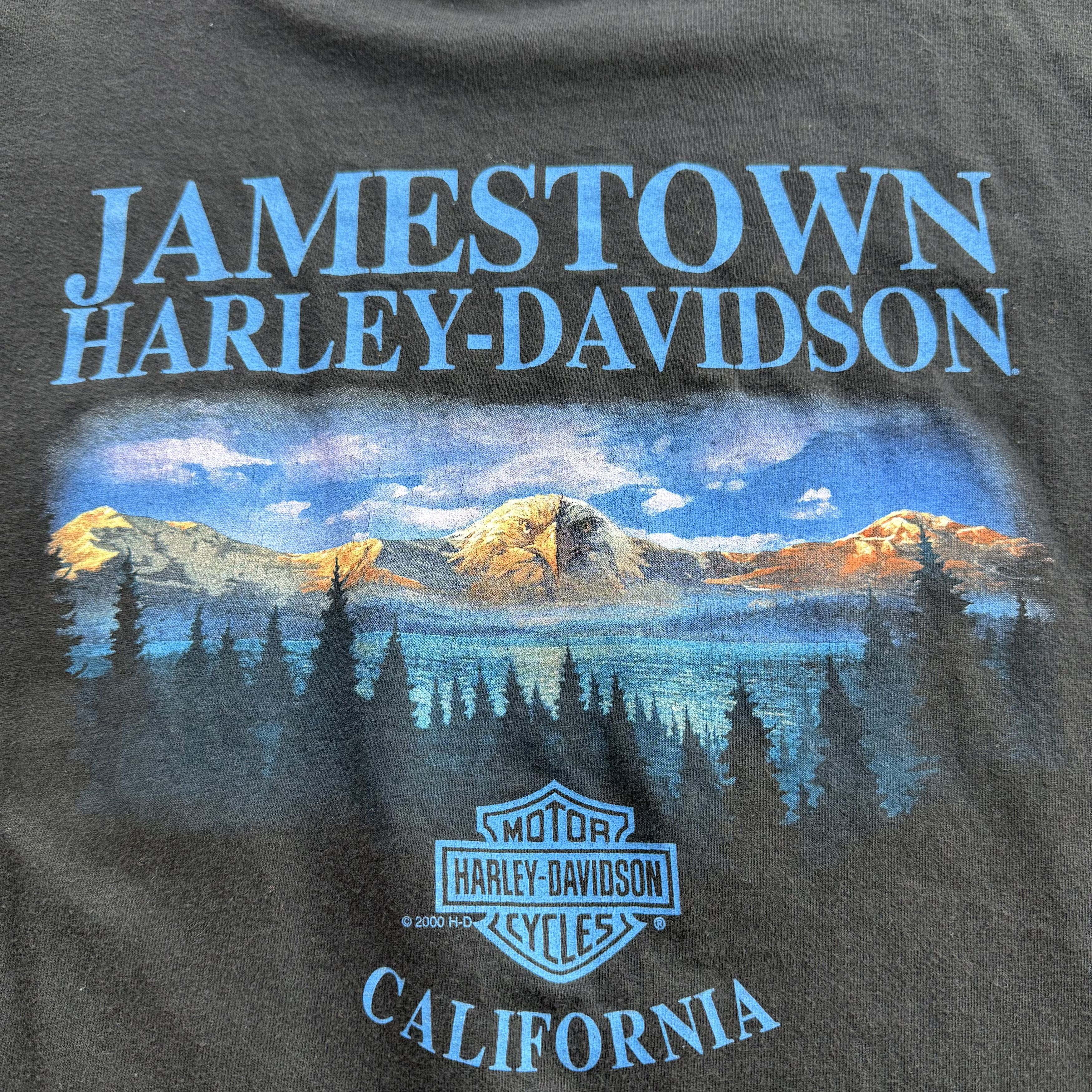 Harley Davidson Vintage Y2K Jamestown California Harley Davidson T Shirt Size US XXL / EU 58 / 5 - 2 Thumbnail