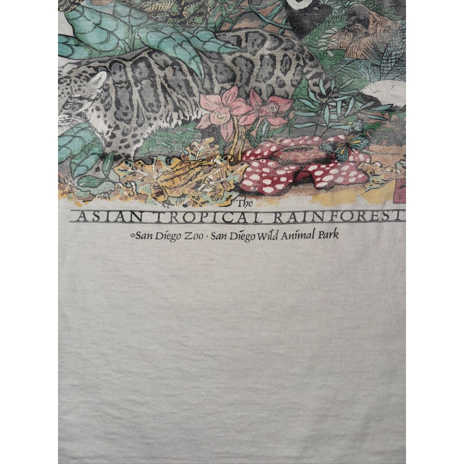 Band Tees × The Mountain Vintage Oneta San Diego Zoo T-Shirt White L 22x26 Tiger Size US L / EU 52-54 / 3 - 10 Thumbnail