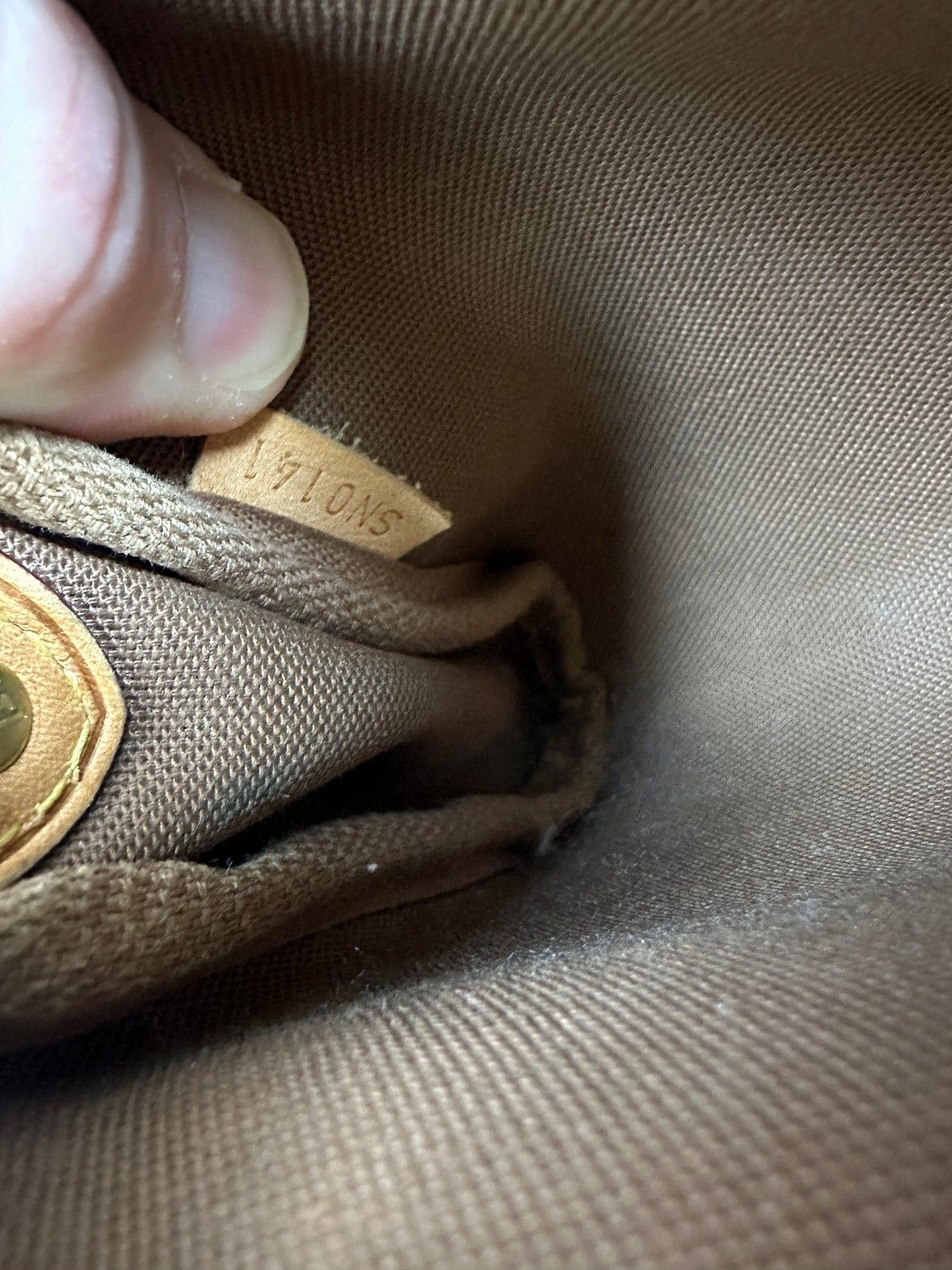 Louis Vuitton Monogram Coated Canvas Eva Brown