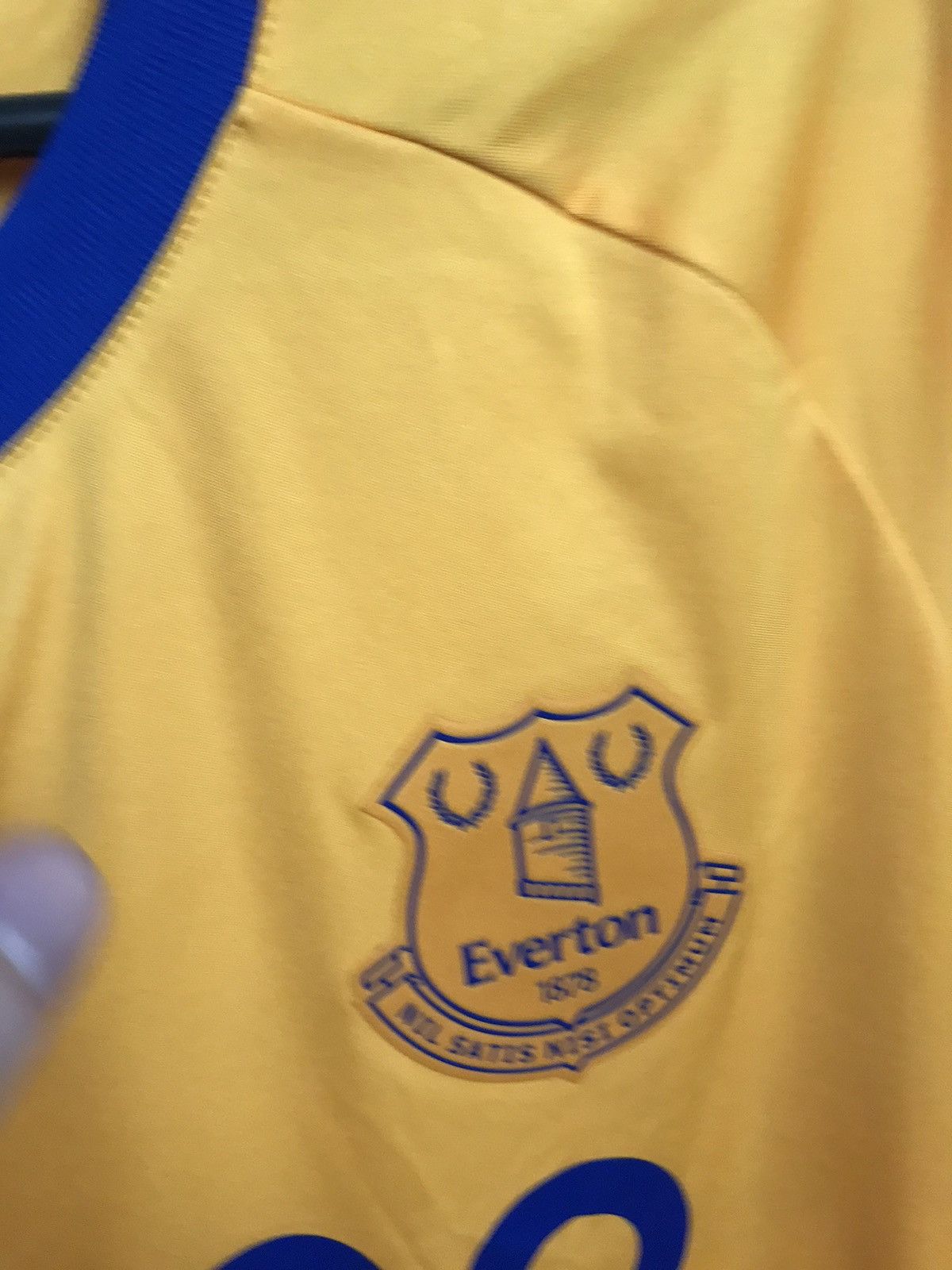 Vintage Vintage Everton soccer jersey Size US L / EU 52-54 / 3 - 4 Thumbnail
