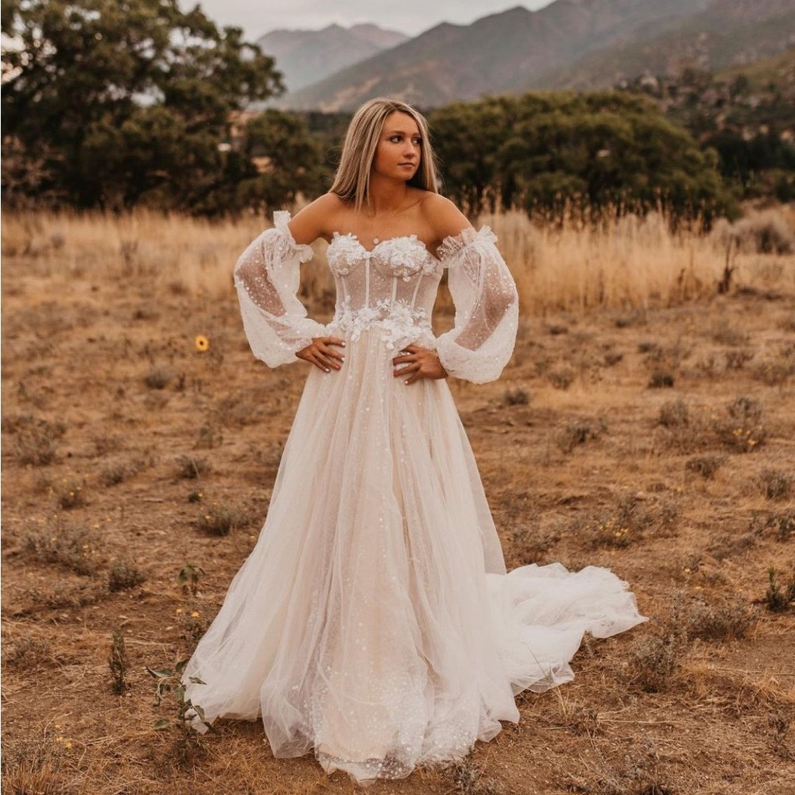 Anthropologie Sparkle Sheer Lace Sleeve Corset Wedding Dress Bridal Gown Size XL / US 12-14 / IT 48-50 - 4 Thumbnail