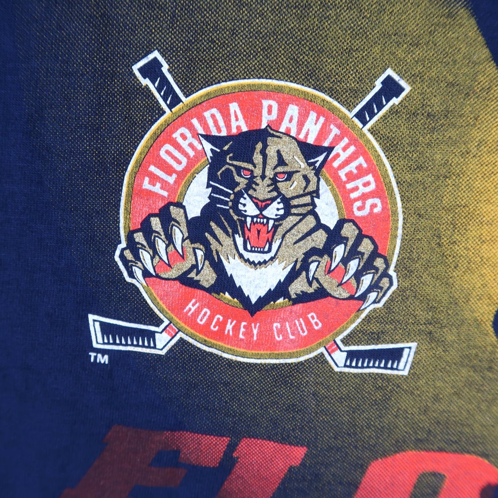 Nutmeg VINTAGE Nutmeg Florida Panthers NHL T-Shirt 90s Graphic Print Adult XL Blue Mens Size US XL / EU 56 / 4 - 5 Thumbnail