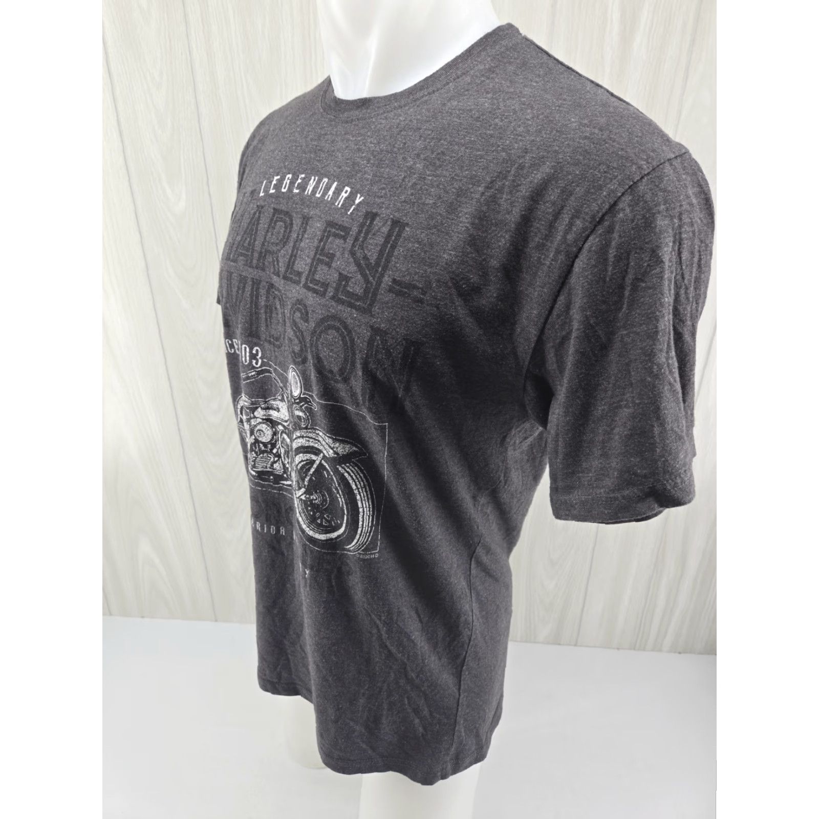 Harley Davidson VINTAGE Harley-Davidson Smoky Mountain Outpost Bryson City NC Graphic Shirt Large Gray Mens T-Shirt City 2000s Size US L / EU 52-54 / 3 - 6 Thumbnail