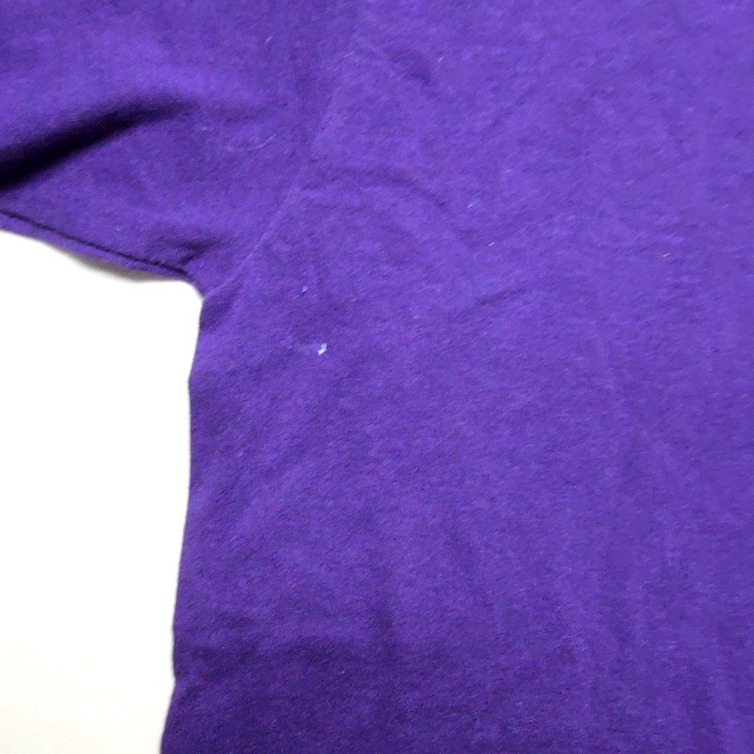 Jerzees Vintage Arizona Sedona Cactus Southwestern Purple Large Tee Size L / US 10 / IT 46 - 3 Thumbnail