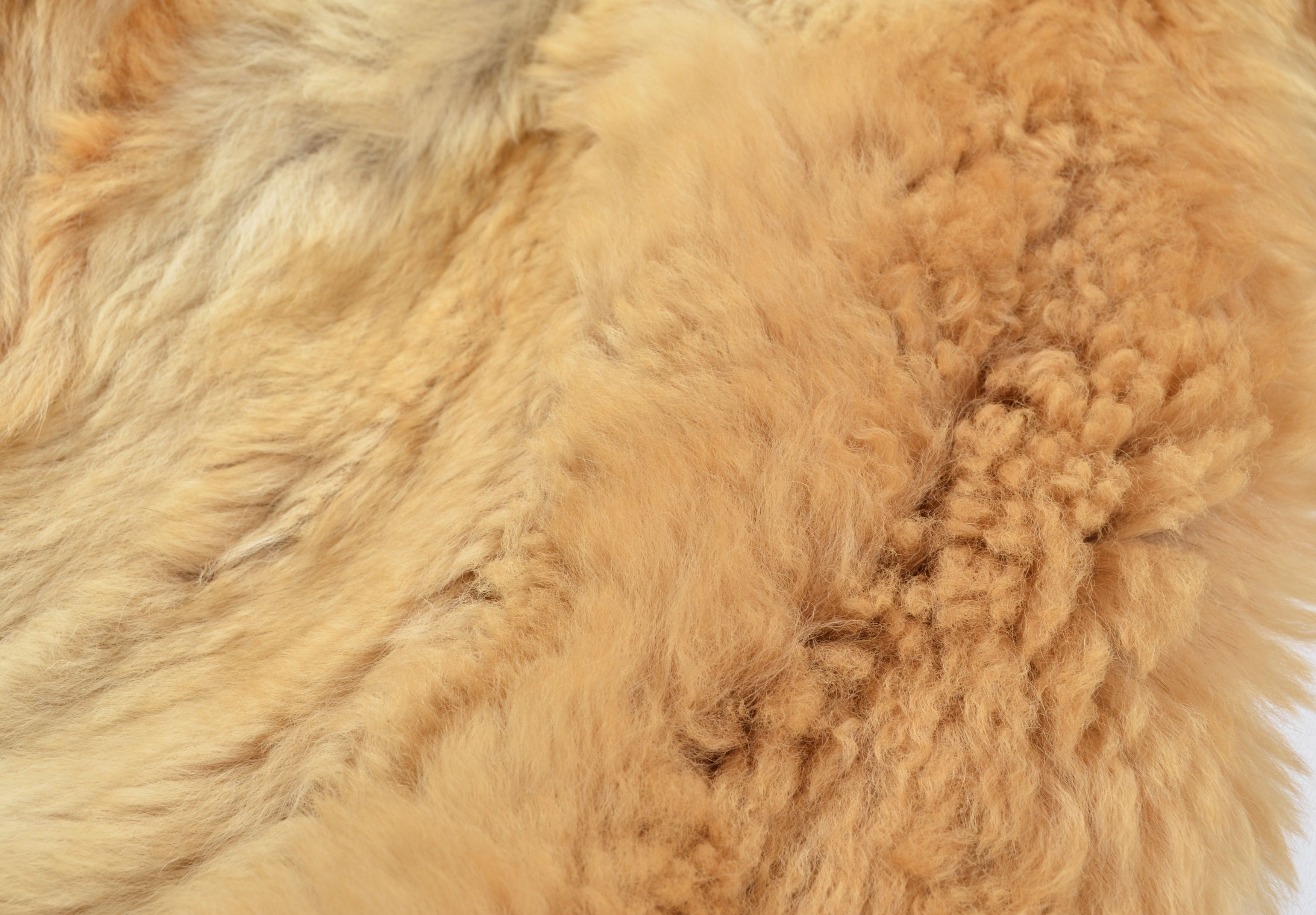 Vintage Vintage 80's Real Fur Glam Beige Tan Coat Luxe Classic Size L / US 10 / IT 46 - 11 Thumbnail