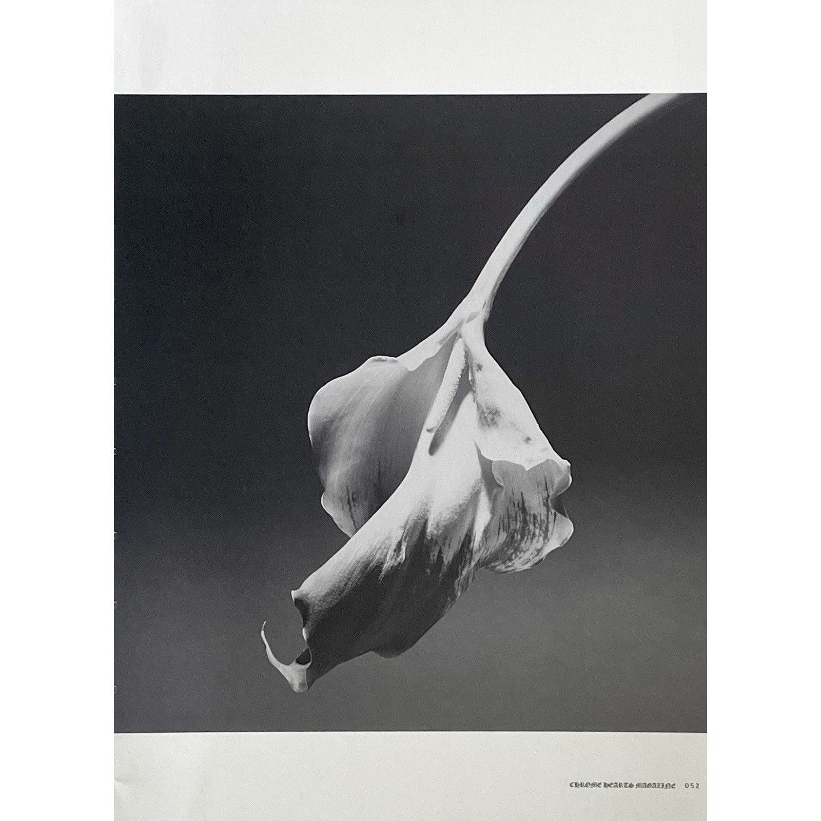 Chrome Hearts × Japanese Brand × Vintage Chrome Hearts flower photo Poster framed 9x11 Size ONE SIZE - 2 Thumbnail