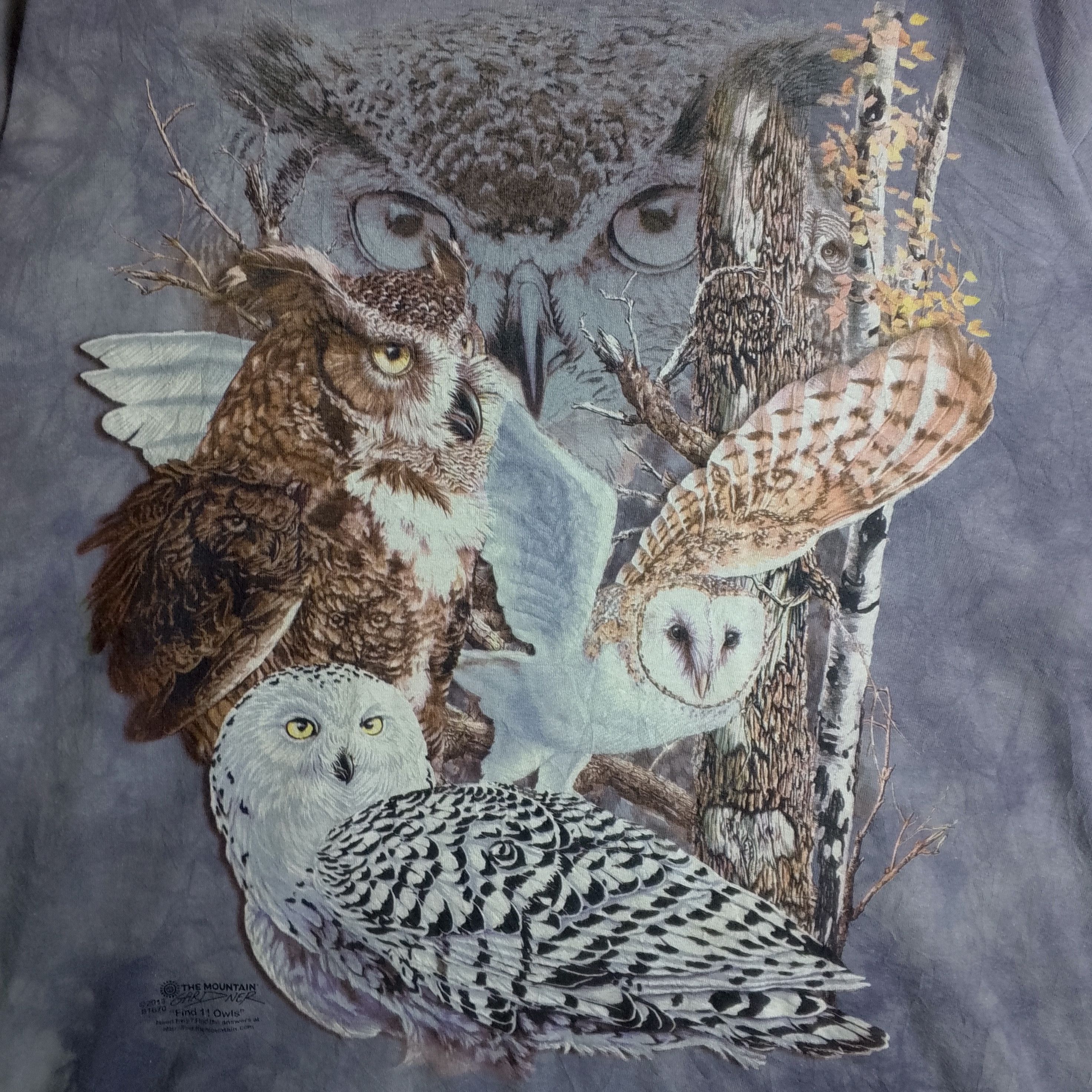 The Mountain Vintage Overprint The Mountain Find 11 Owls Size US XL / EU 56 / 4 - 4 Thumbnail