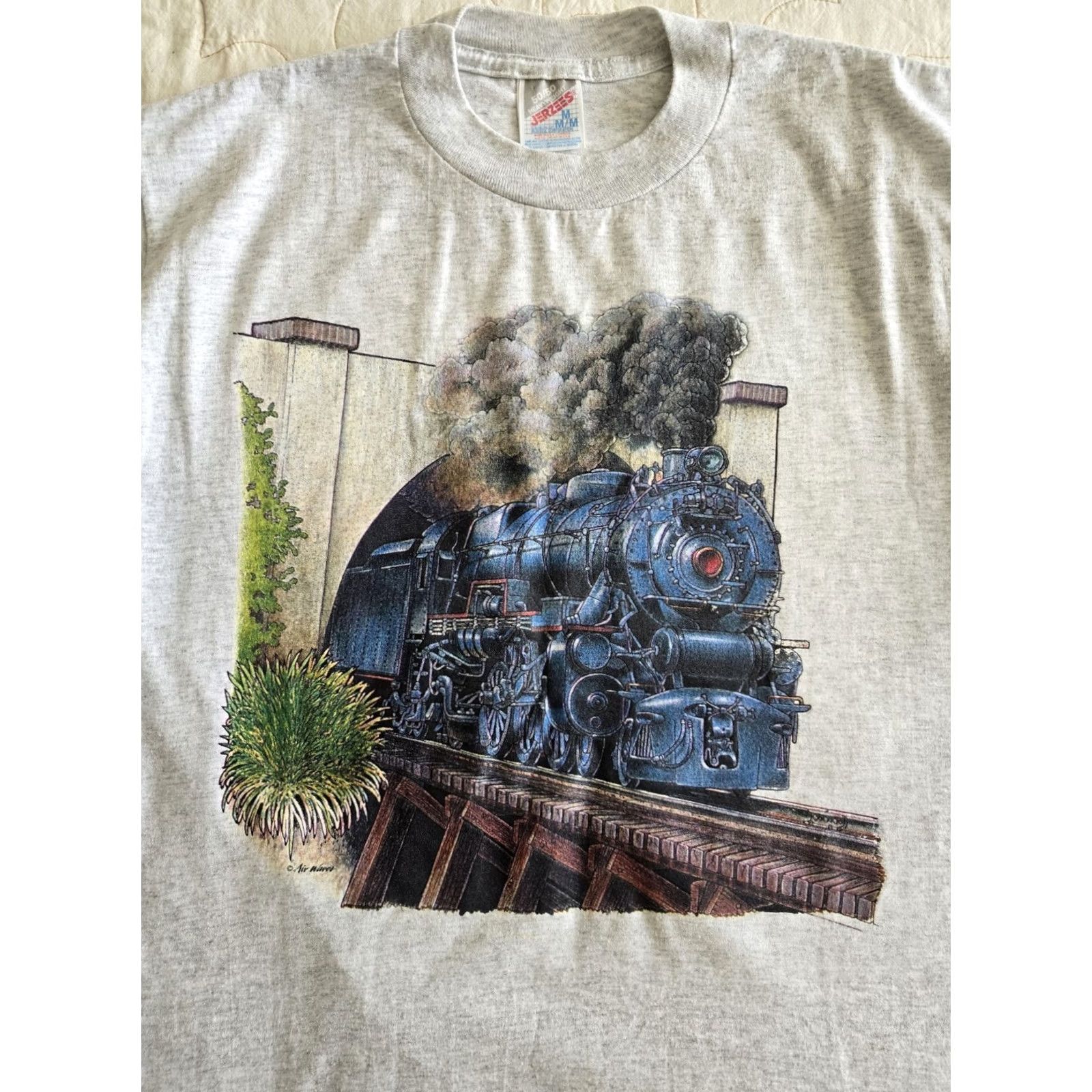 Jerzees VINTAGE Steam Engine Train T-shirt Shirt Unisex Gray 80s 90s M Adult Medium Graphic Tee Jerzees Shirts Mens Womens Size US M / EU 48-50 / 2 - 2 Thumbnail