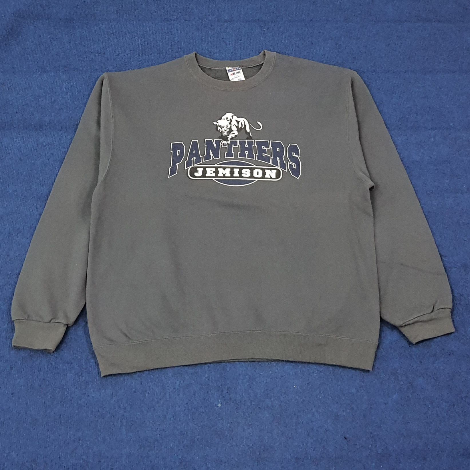 Jerzees Vintage Panthers D'Shawn Jamison NFL Sweatshirt C270N3 Size US L / EU 52-54 / 3 - 1 Thumbnail