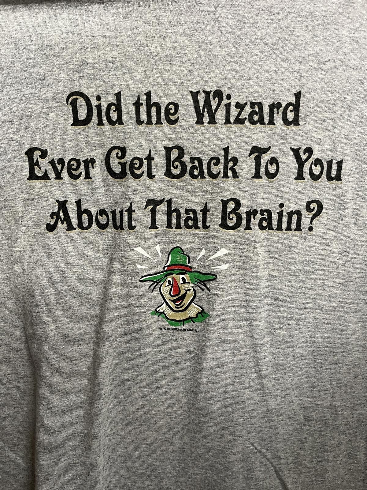 Fruit Of The Loom Scarecrow T-shirt Did Wizard Get Back to You About Brain Tee Size US L / EU 52-54 / 3 - 3 Thumbnail