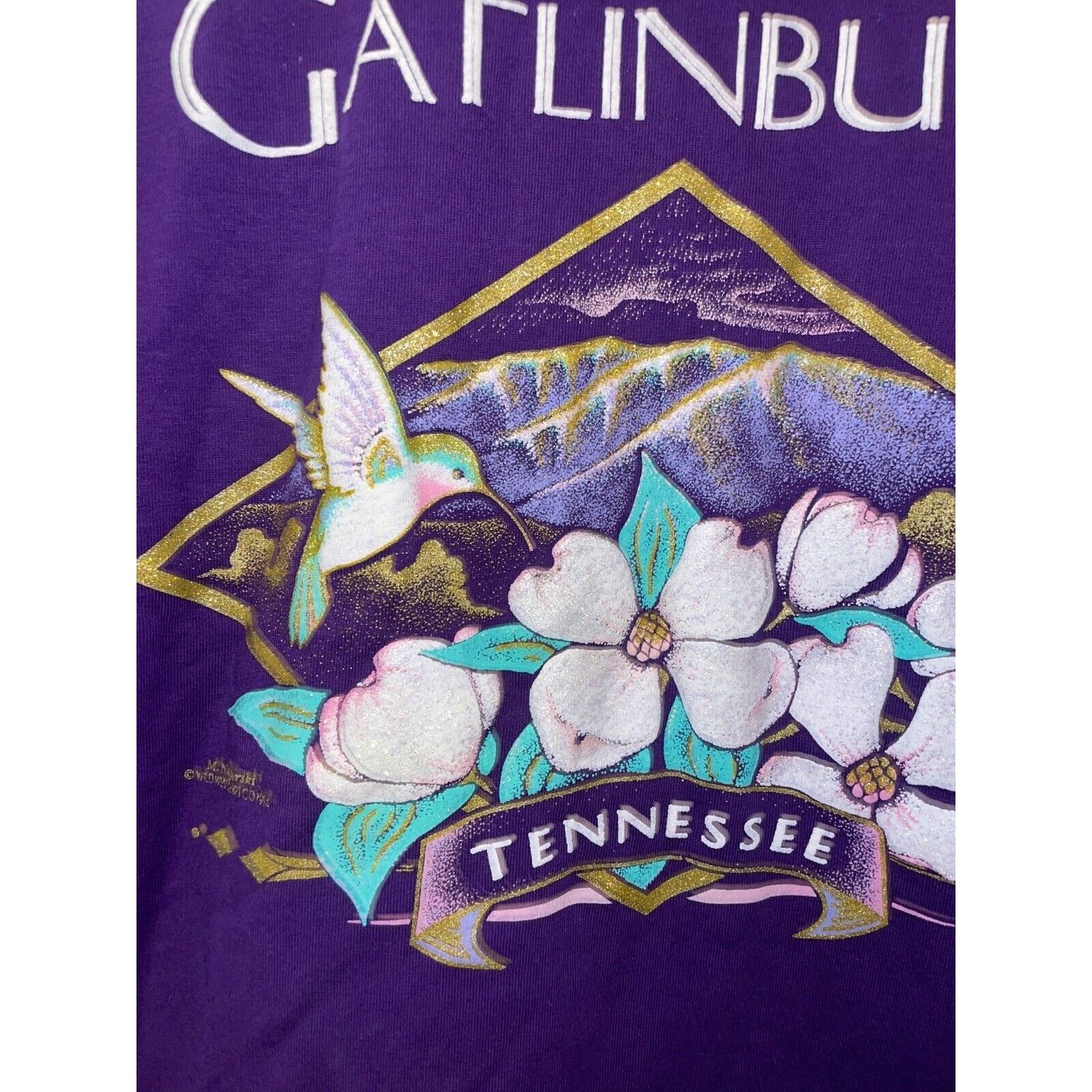Jerzees Vintage Tennessee Shirt Jerzees Gatlinburg TN Tee VTG 90s L Size US L / EU 52-54 / 3 - 7 Thumbnail