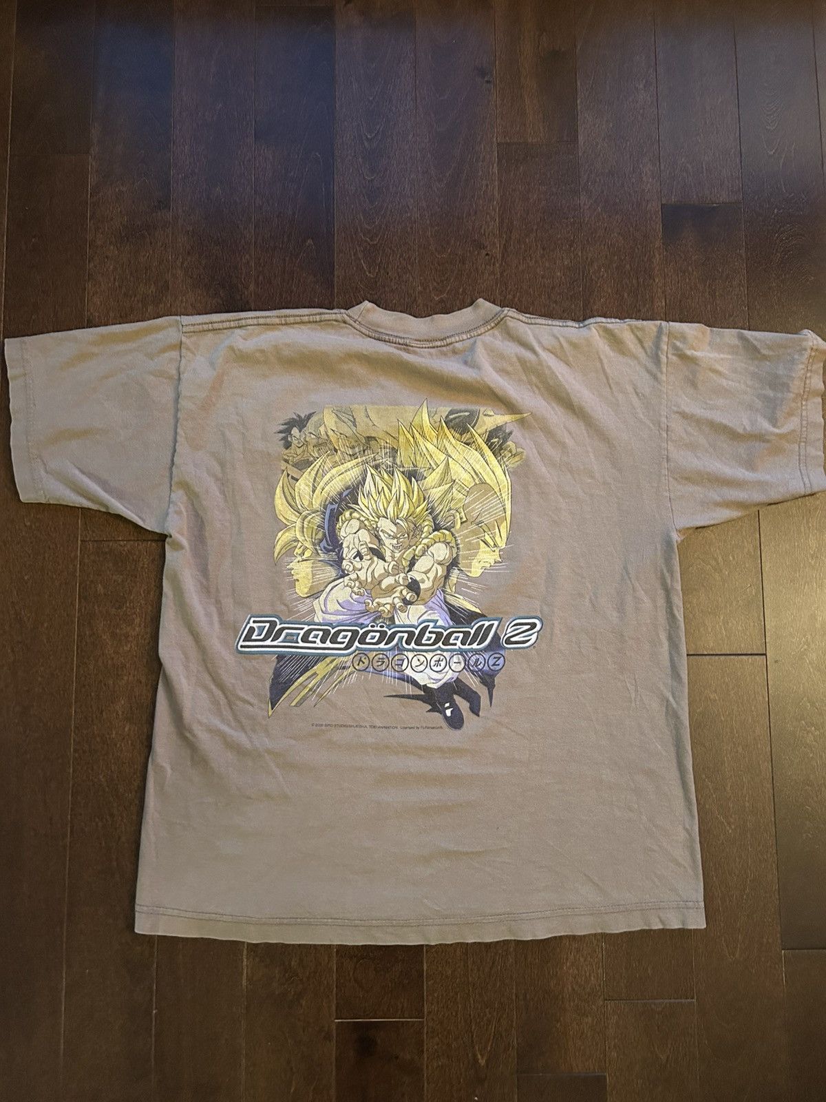 Vintage 2000 Dragon Ball Z Broly y2k Graphic Shirt