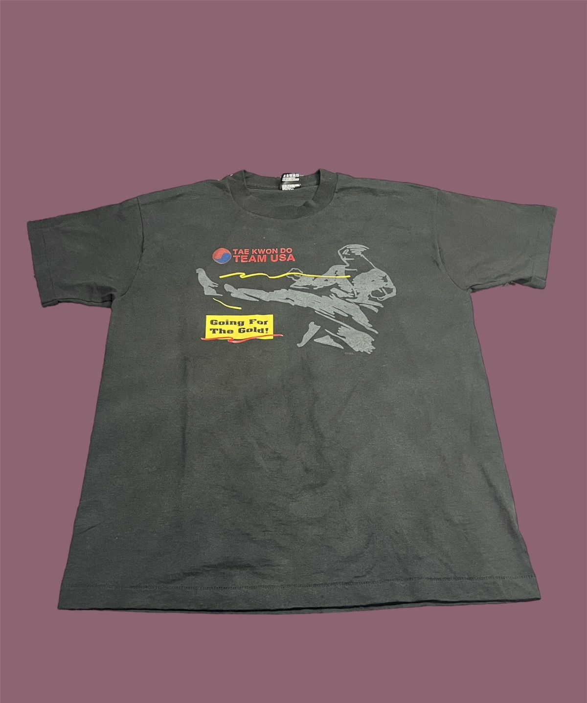 Vintage Vintage 80’s Team USA Olympics Taekwondo Screen Stars Shirt