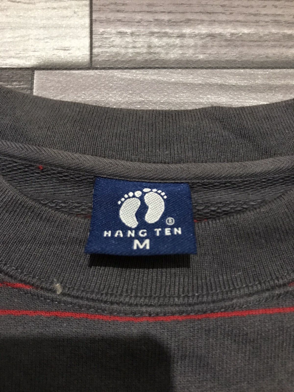 Hang Ten Stripe Sweatshirt -R4