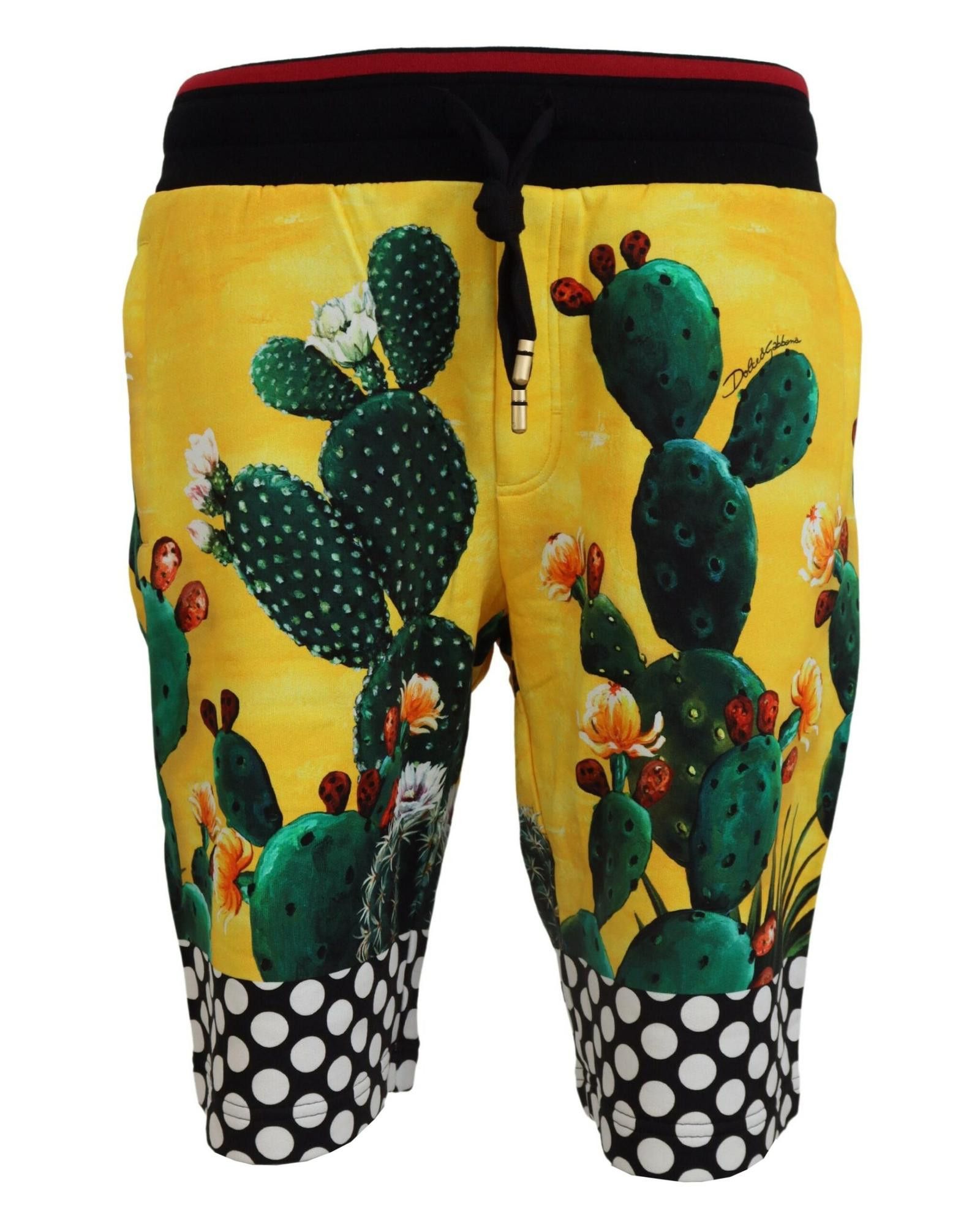 image of Dolce Gabbana Cactus Print Cotton Sweat Shorts, Men's (Size 30)