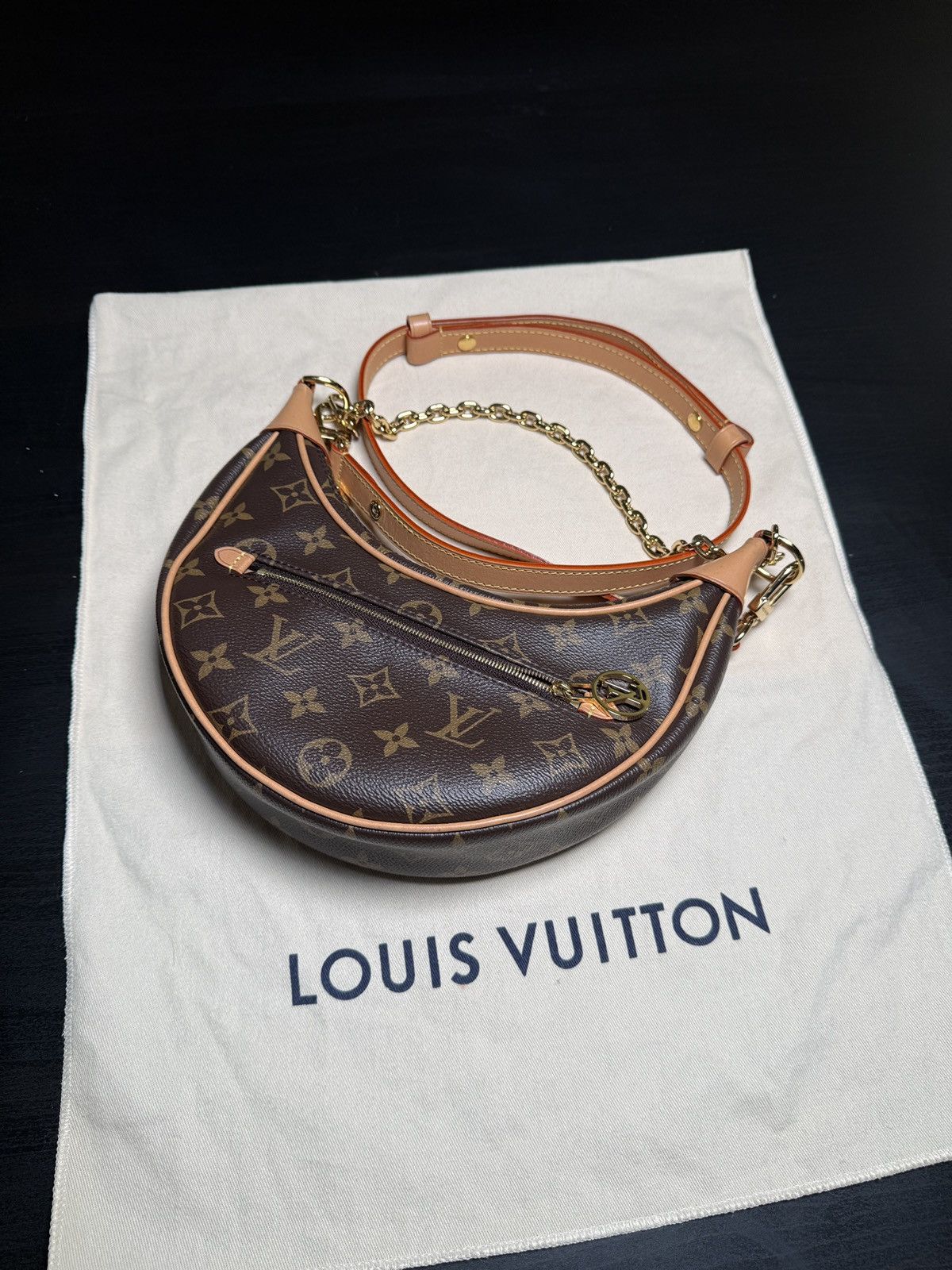 Louis Vuitton LOUIS VUITTON LOOP MONOGRAM BAG Size ONE SIZE - 1 Thumbnail