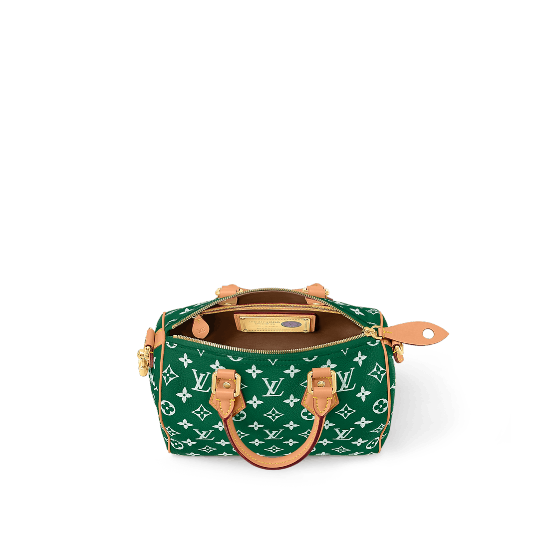 Louis Vuitton Speedy P9 Bandoulière 25 Bag Size ONE SIZE - 5 Thumbnail