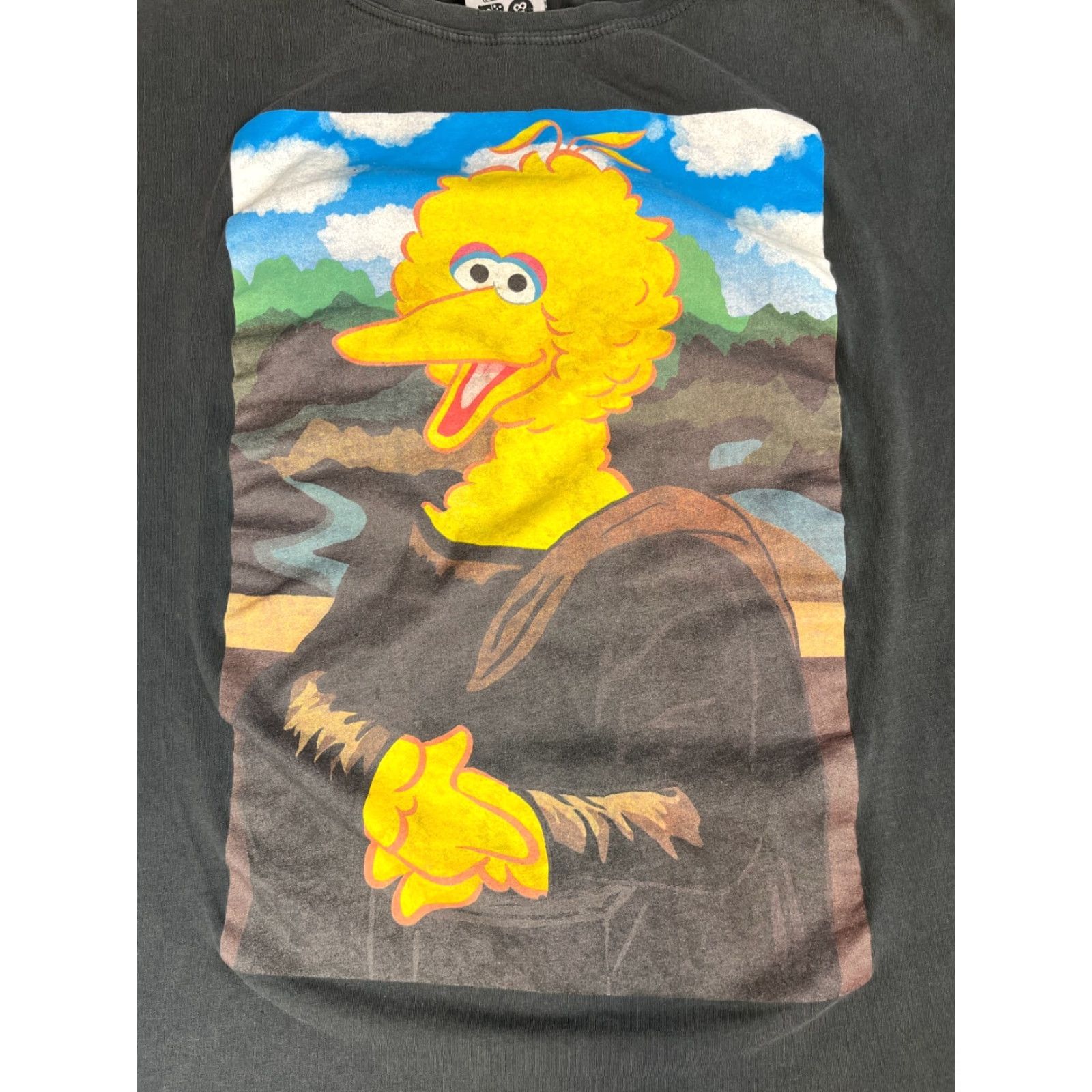 Zara Zara T-Shirt Women’s Sesame Street 50 Years and Counting Size M Black Cotton Crew Neck Short Sleeve Vintage-Style Size M / US 6-8 / IT 42-44 - 3 Thumbnail