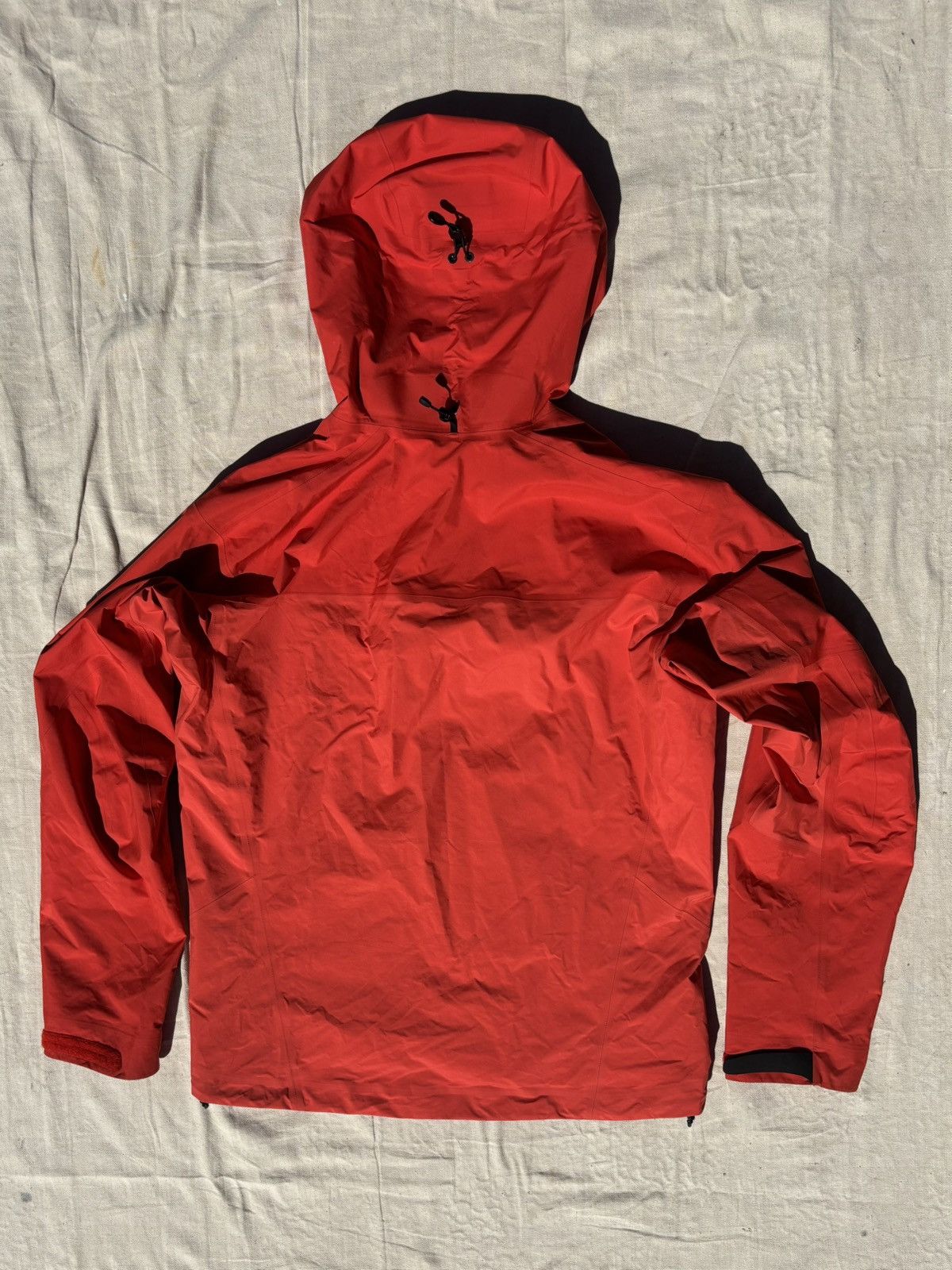 Arc'teryx Beta AR Size US L / EU 52-54 / 3 - 4 Thumbnail