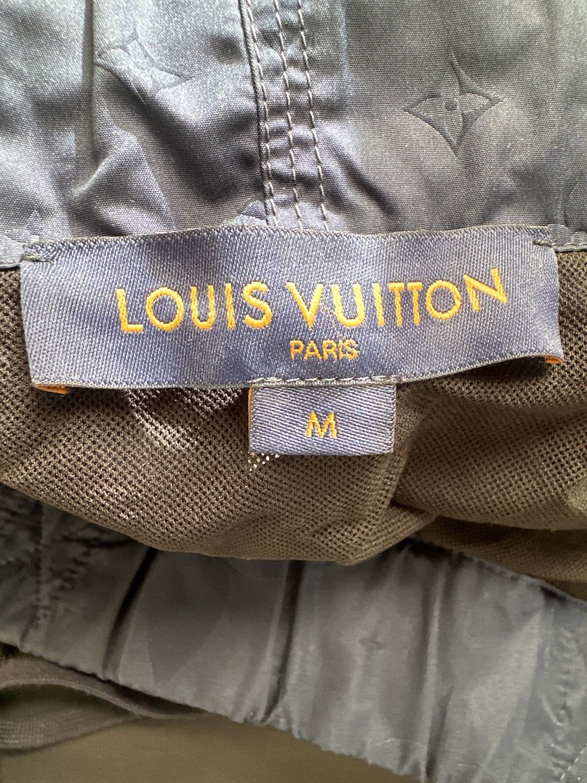 Louis Vuitton Louis Vuitton 3D Monogram Board Shorts Size US 32 / EU 48 - 4 Thumbnail