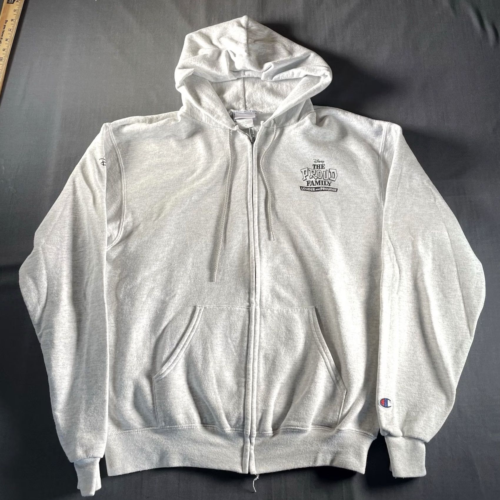 Vintage M & M The Proud Family Hoodie Men’s Medium Gray Full Zip Louder And Prouder Crew Promo Zip Up Mens Size US M / EU 48-50 / 2 - 3 Thumbnail