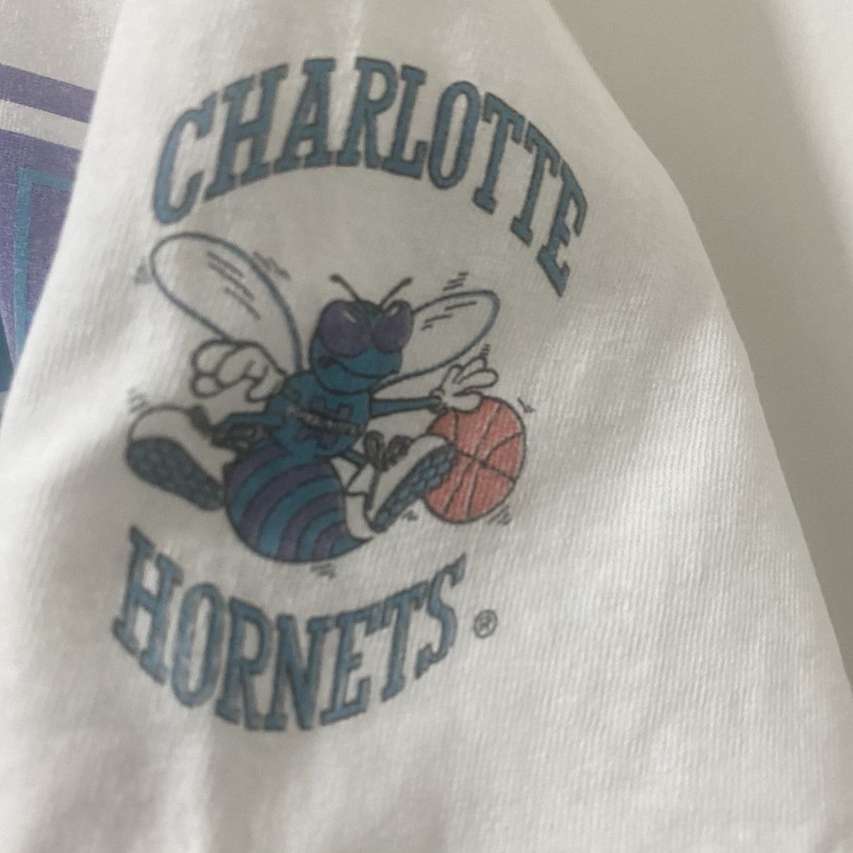 NBA × Salem Sportswear × Vintage NBA x Charlotte Hornets x Vintage Size US L / EU 52-54 / 3 - 7 Thumbnail