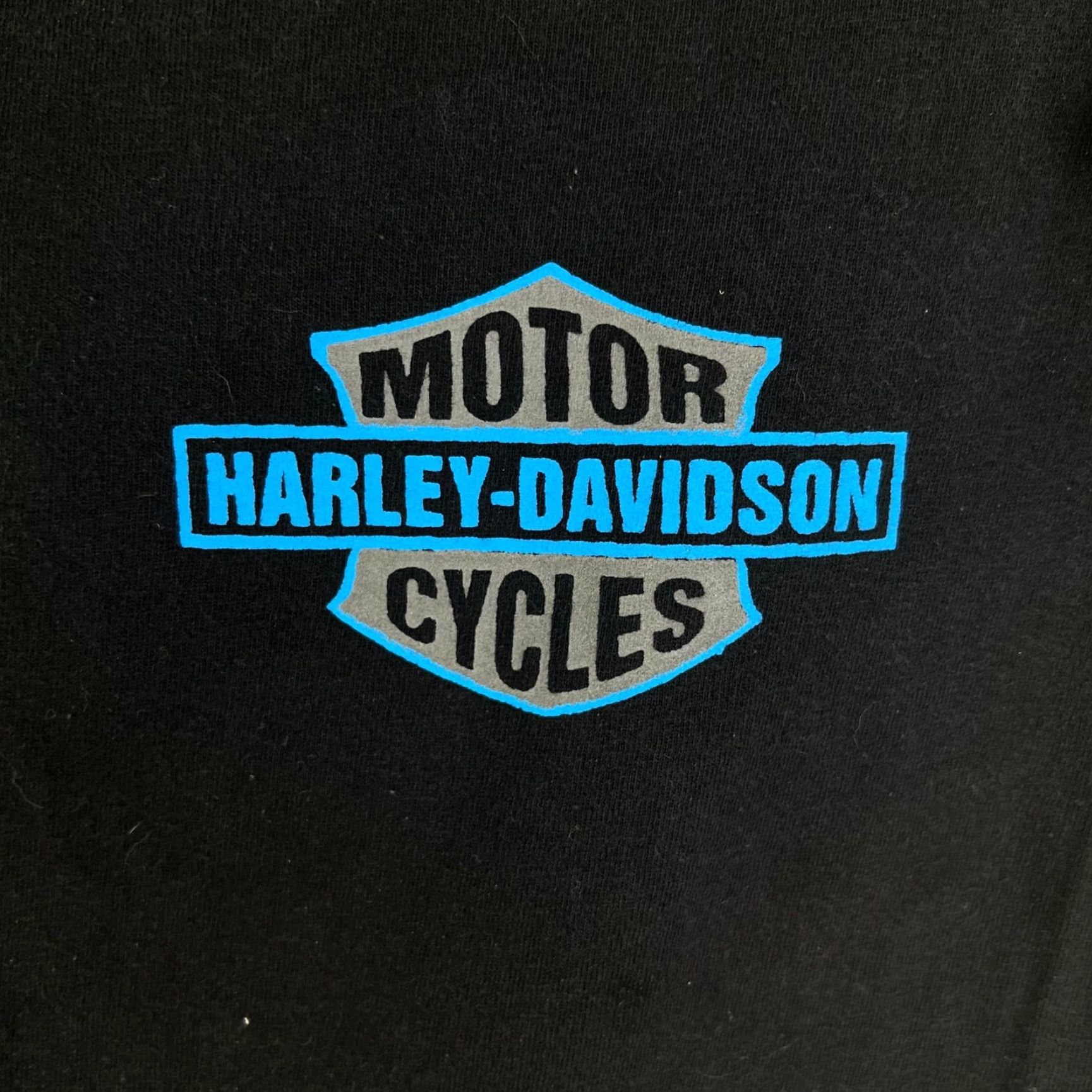 Vintage Alstyle Daytona Bike Week 73rd 2014 T Shirt Black Adult L Mens Short Sleeve Crew Neck Cotton Knit Logo Graphic Print Vintage No Size US L / EU 52-54 / 3 - 3 Thumbnail