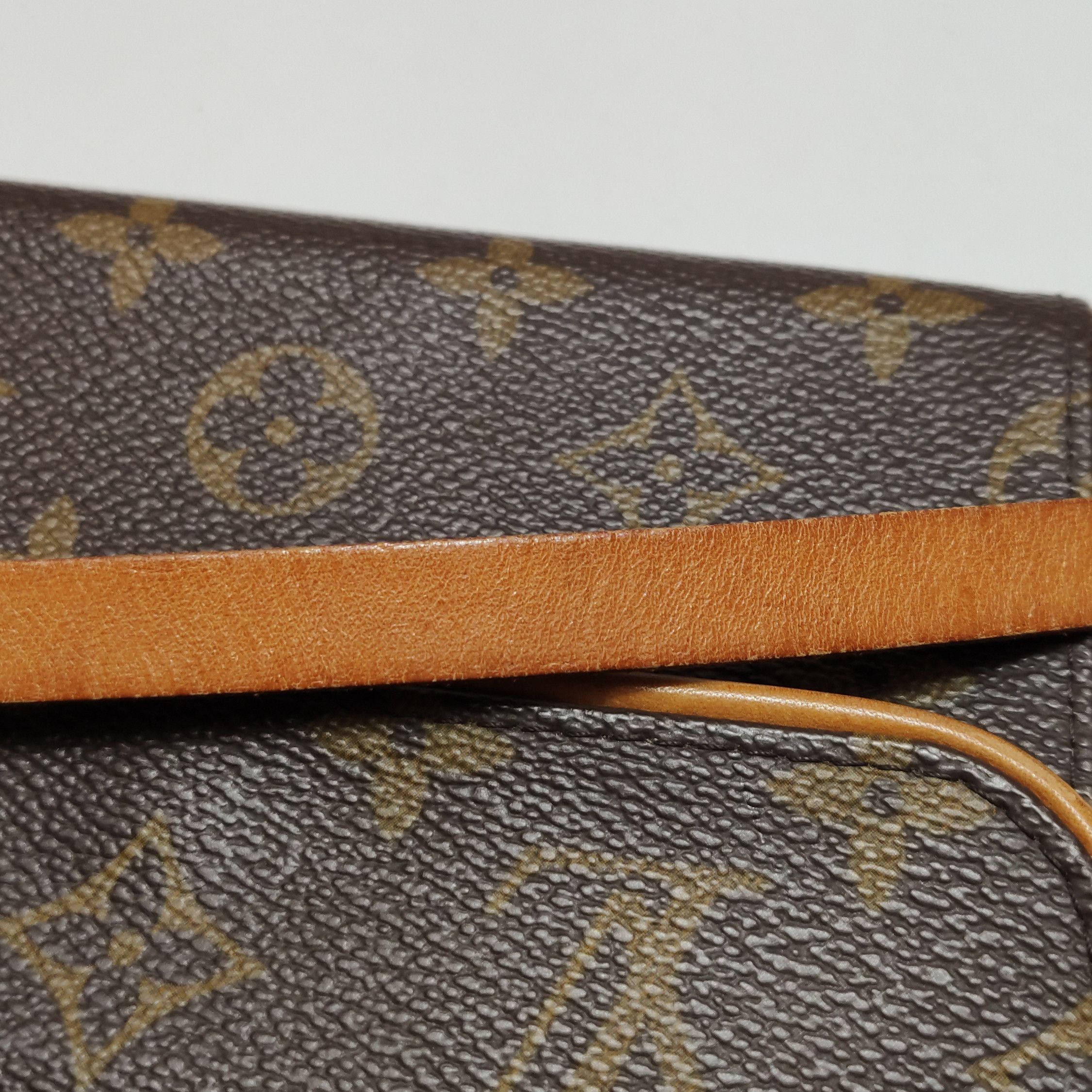 Louis Vuitton Louis Vuitton (LV) Florentine vegetable tanned leather Mono Size ONE SIZE - 9 Thumbnail