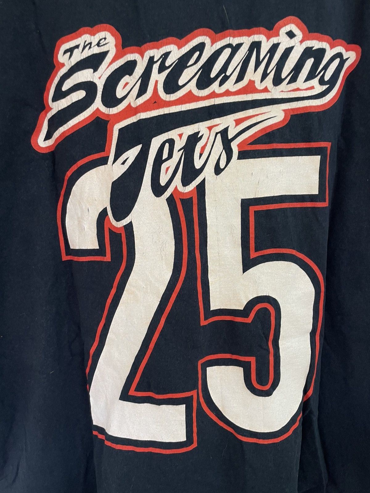 Band Tees The Screaming Jets rock band t shirt 25th anniversary tour Size US XL / EU 56 / 4 - 5 Thumbnail