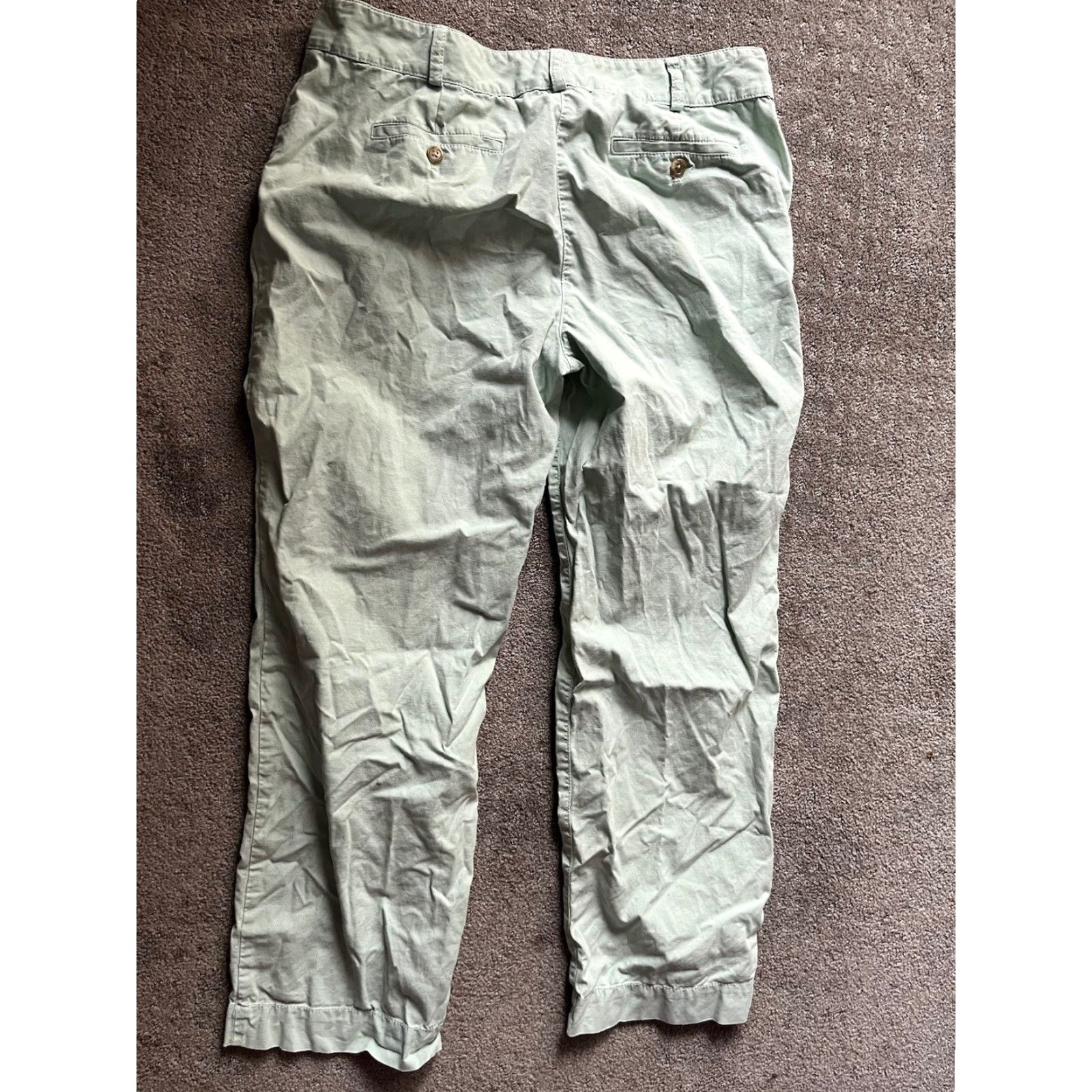 Talbots Talbots 12P Green Ankle Length Pants Women’s Petite Casual Straight 12P - Talbots Pants Womens 12 Petite Green Ankle Casual Straight Size 34" / US 12 / IT 48 - 4 Thumbnail