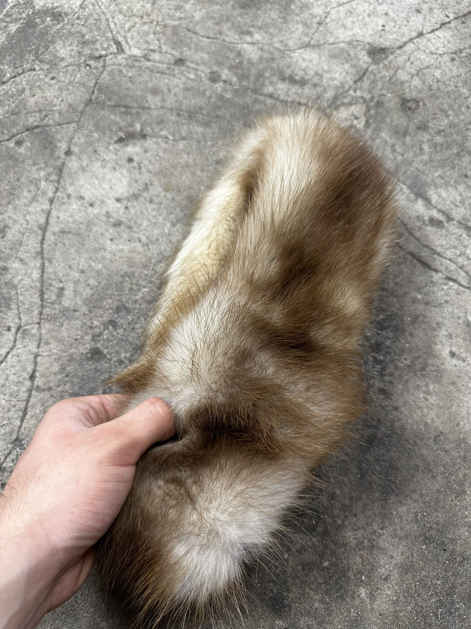 Other Vintage Y2k Real Mink Fur Headband Size ONE SIZE - 2 Thumbnail
