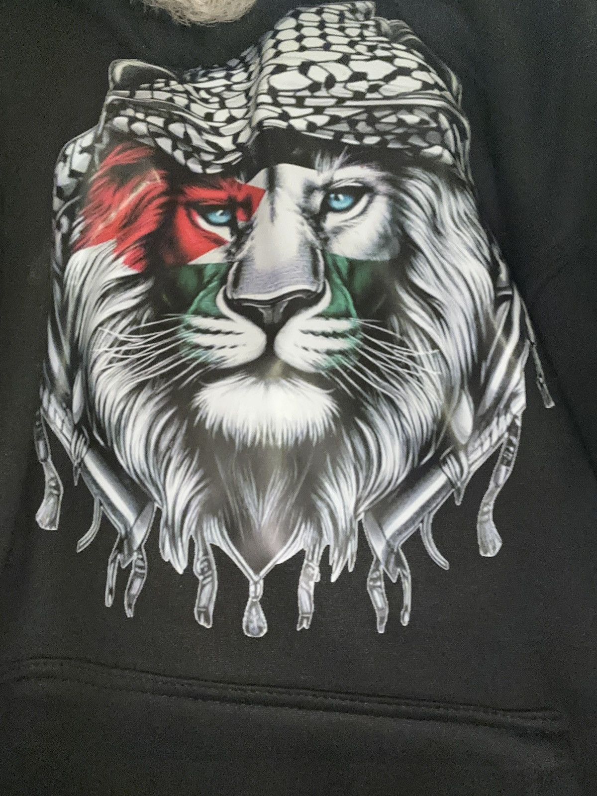 Other Palestinian Lion Face Size US L / EU 52-54 / 3 - 2 Thumbnail