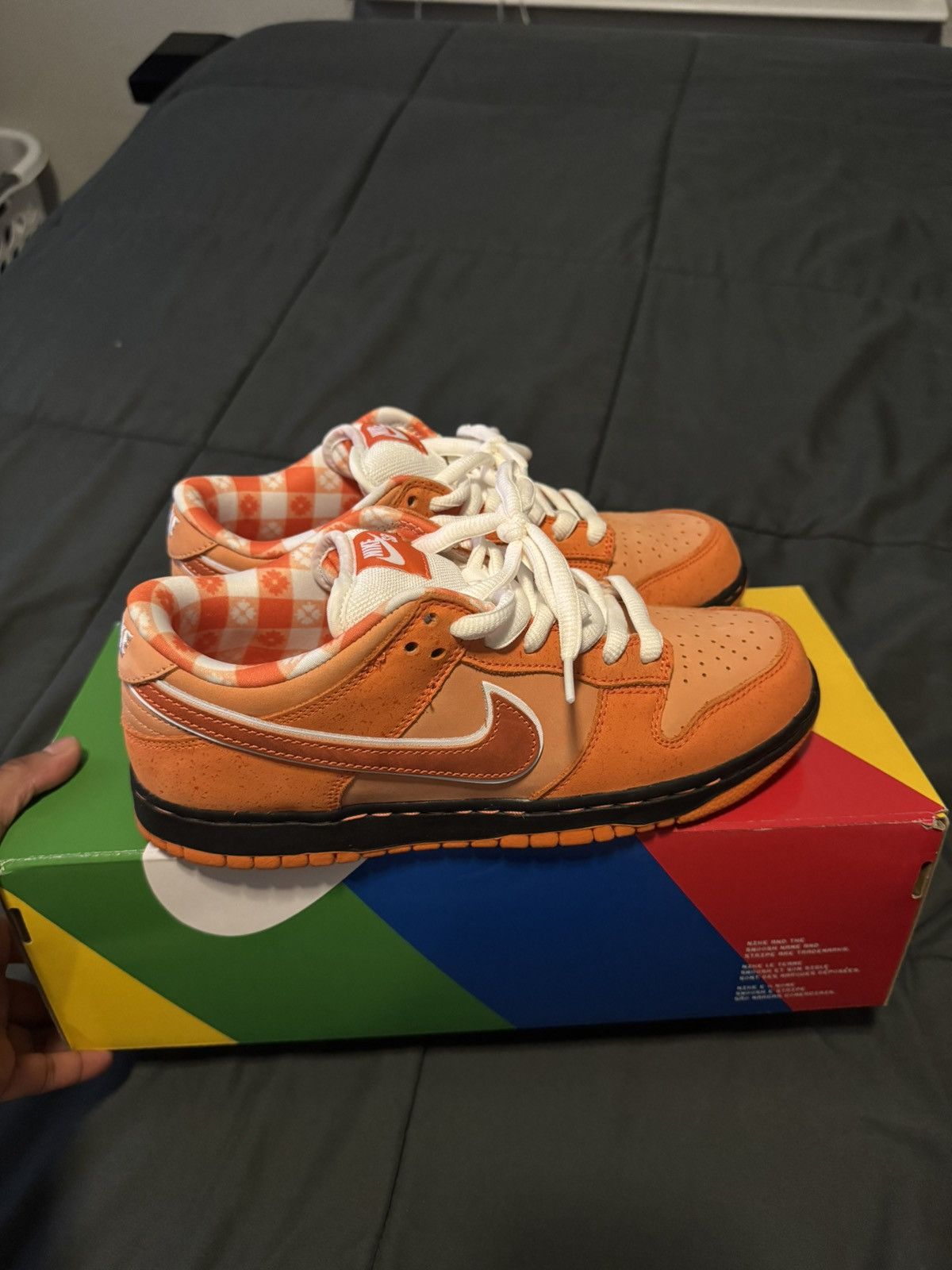 Nike Nike SB Dunk Low Orange Lobster Size US 7.5 / EU 40-41 - 1 Thumbnail