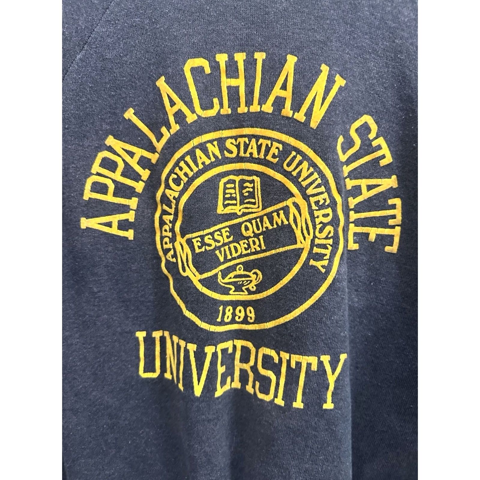 Vintage VTG 70s Appalachian State Mountaineer Sweatshirt L Charcoal Mens Pullover Sun Faded Flock Boxy Gradient Wear Size US L / EU 52-54 / 3 - 4 Thumbnail