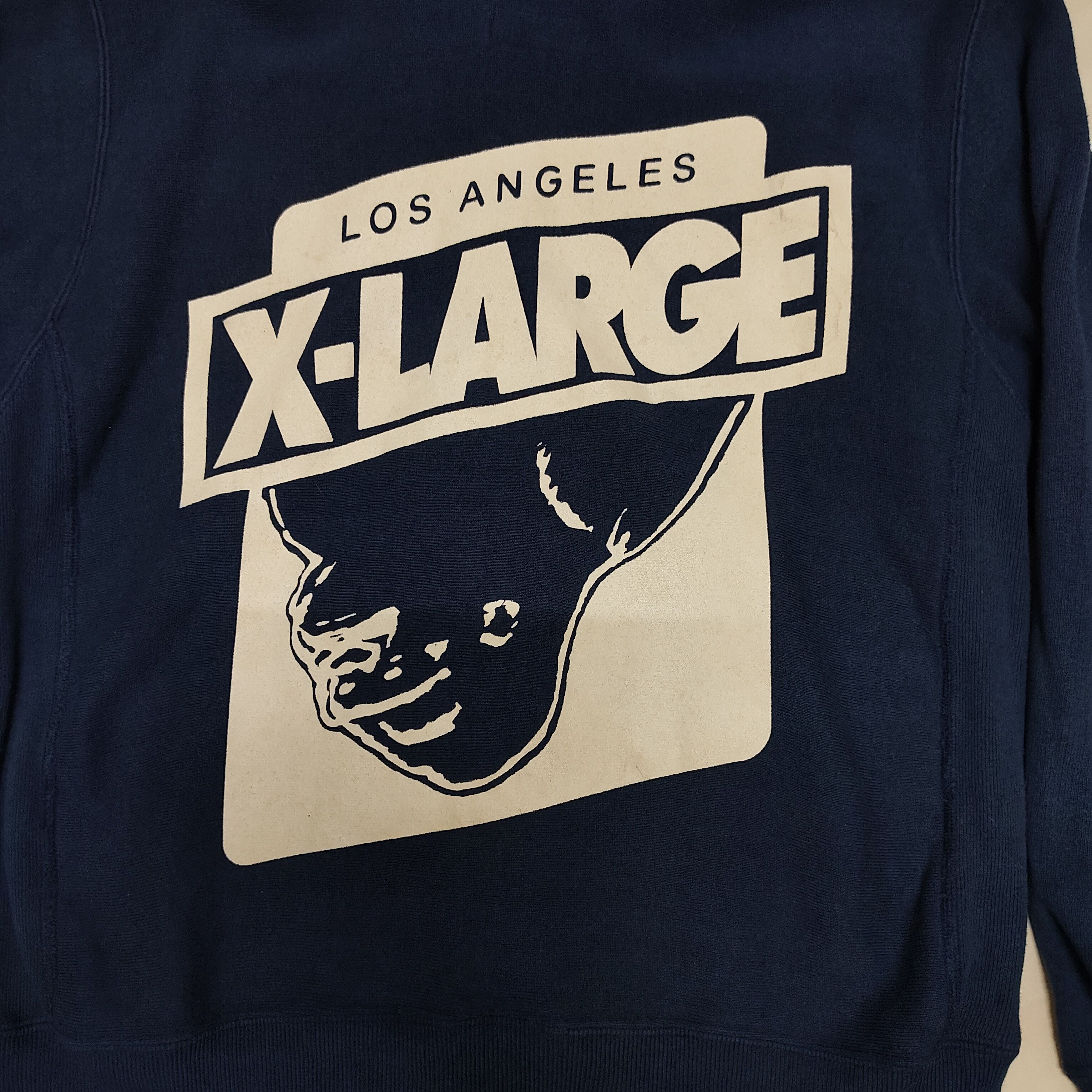 Champion × X-LARGE 90s X LARGE X CHAMPION Distressed Hoodie Size US L / EU 52-54 / 3 - 5 Thumbnail