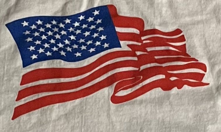 Other Vintage Jerzees 9/11 Memorial God Bless America Twin Towers Size US XL / EU 56 / 4 - 4 Thumbnail