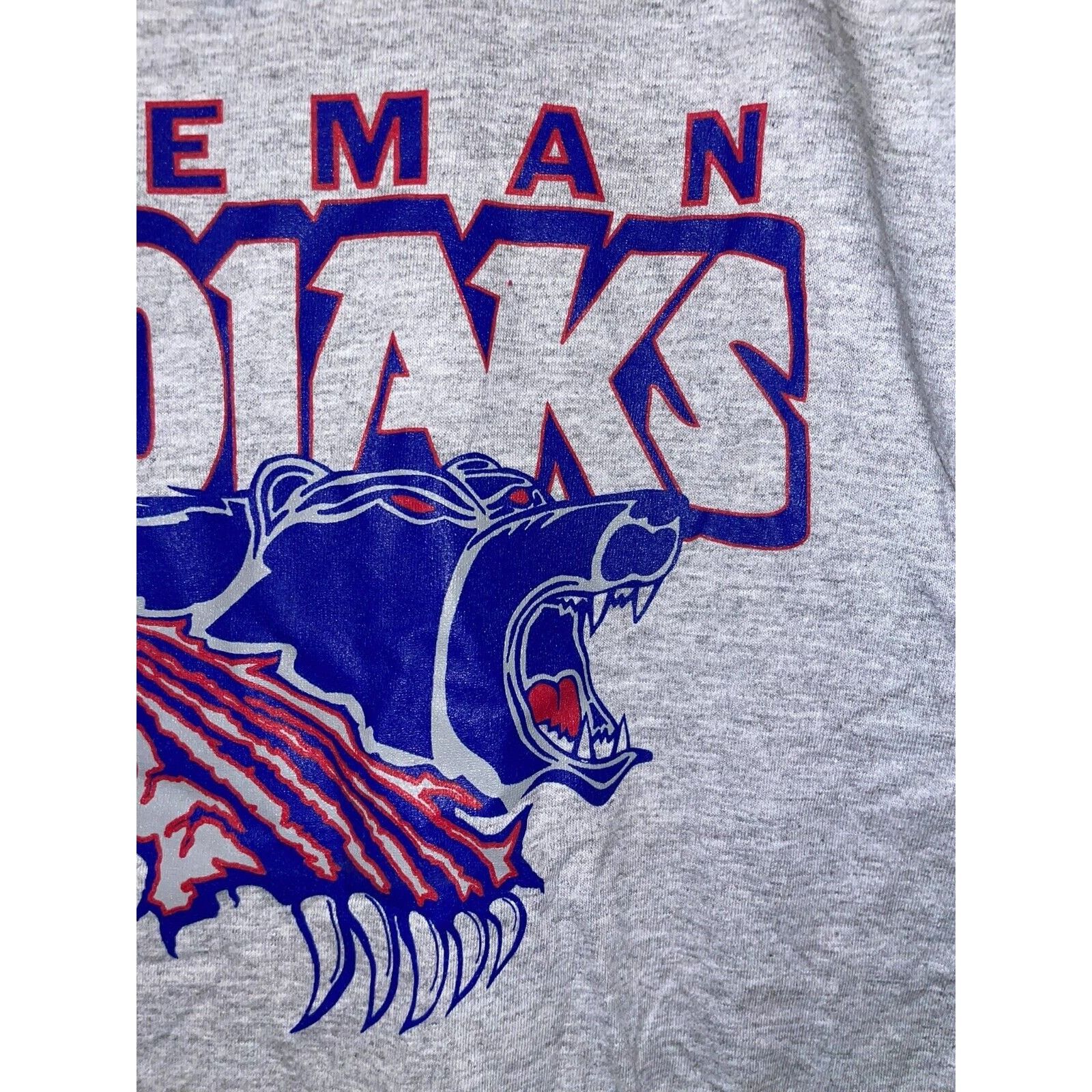 Jerzees Vintage Bozeman Kodiaks Shirt Graphic Gray Tee VTG 90s M Size US M / EU 48-50 / 2 - 4 Thumbnail