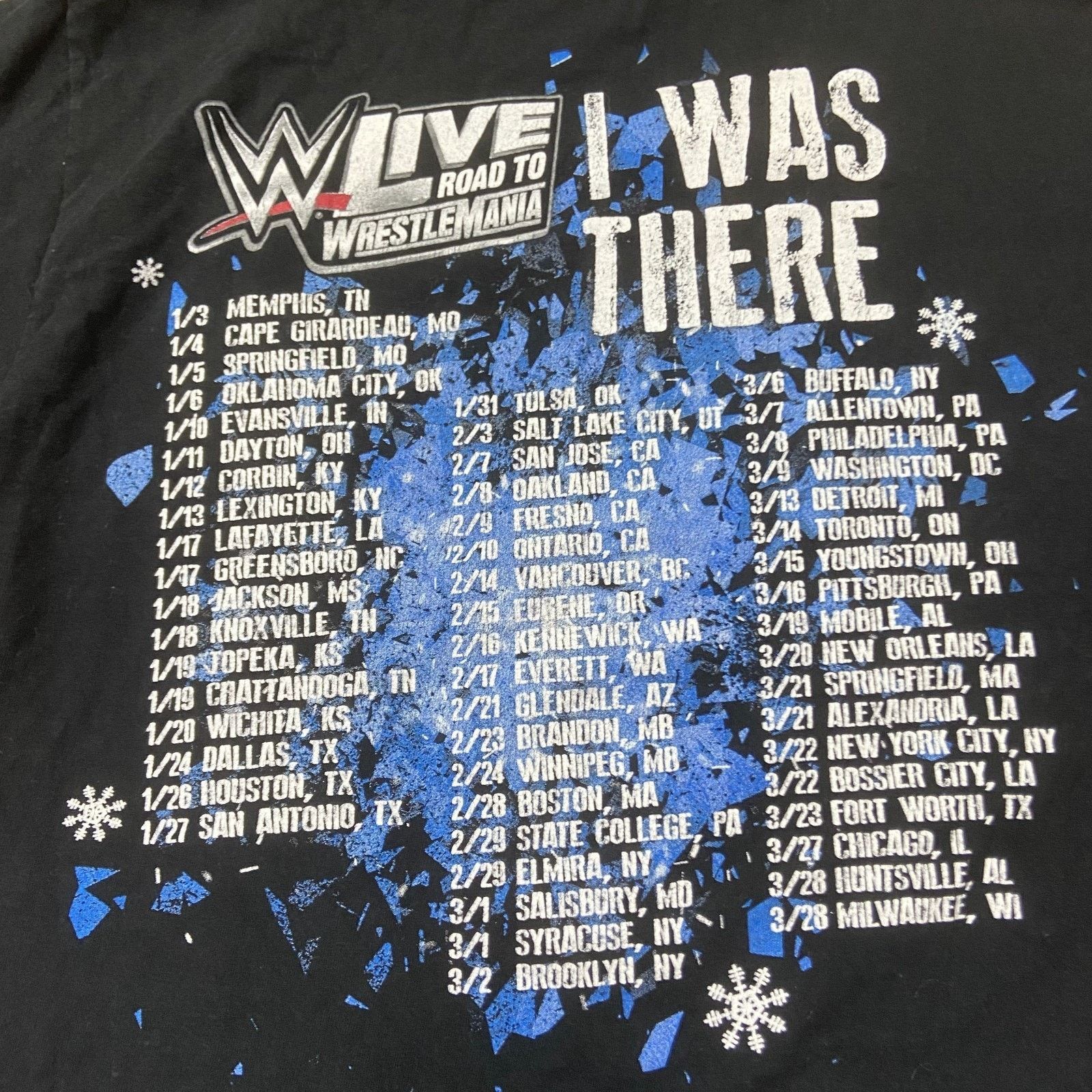 & Other Stories Authentic WWE Live Road Wrestlemania T Shirt Youth Medium Size US M / EU 48-50 / 2 - 6 Thumbnail