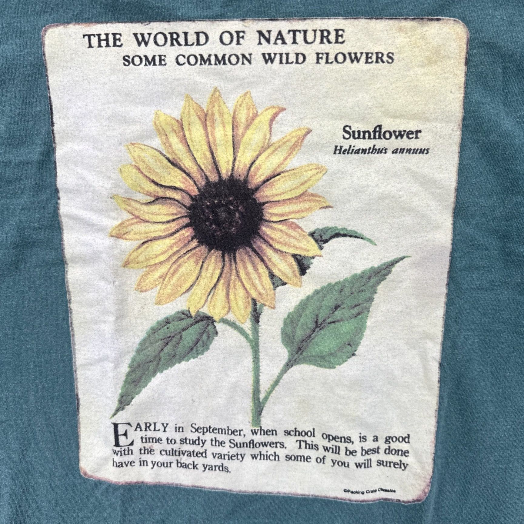 Sunflower VINTAGE Packing Crate Classics T-Shirt Green 90s Sunflower Graphic Print Large L Men Crew Neck Short Sleeve Graphic Print Mens Size US L / EU 52-54 / 3 - 6 Thumbnail
