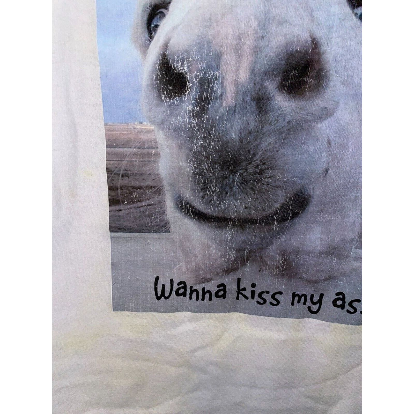 Hanes Vintage Joke Shirt Wanna Kiss My As Butt Donkey STAINED XL Size US XL / EU 56 / 4 - 4 Thumbnail