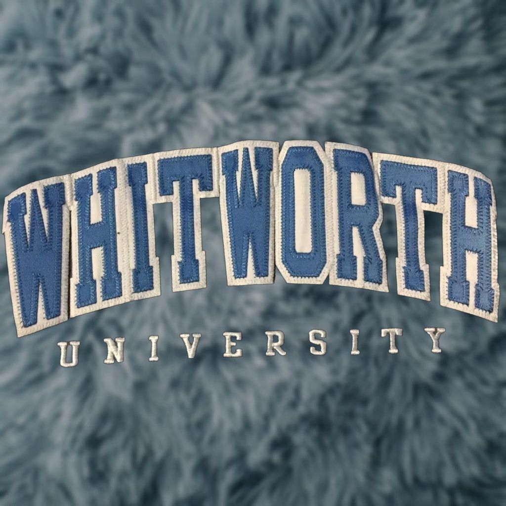 Champion VINTAGE Champion Whitworth University Faded Hoodie XS College Track Grunge PE 90s Size US XS / EU 42 / 0 - 1 Thumbnail