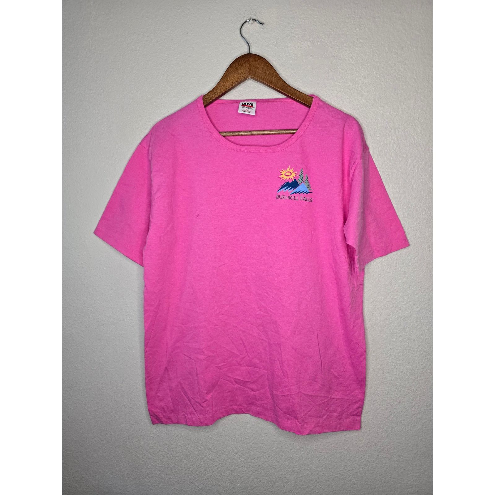 Anvil × Vintage Vintage Bushkill Falls Pennsylvania Boat Neck L Pink Tee Size L / US 10 / IT 46 - 1 Thumbnail