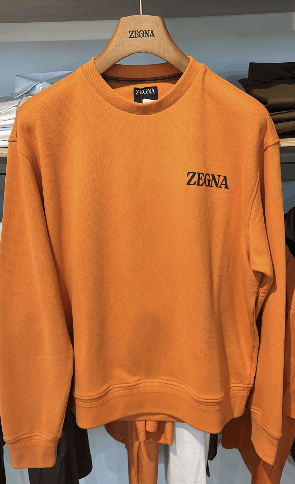 Ermenegildo Zegna Zegna Logo Crewneck Sweater Size US S / EU 44-46 / 1 - 1 Preview