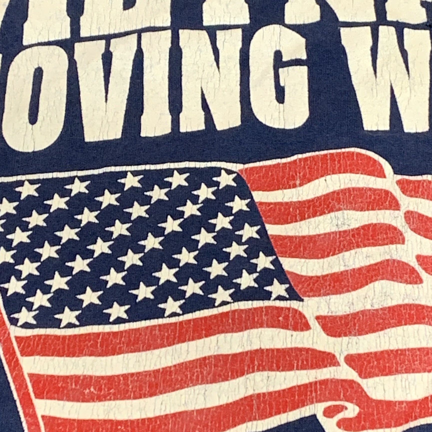 Jerzees VINTAGE Vietnam Moving Wall Joshua Tree California T Shirt XL Men Blue 1990s Graphic Tee Jerzees Short Sleeve Size US XL / EU 56 / 4 - 6 Thumbnail