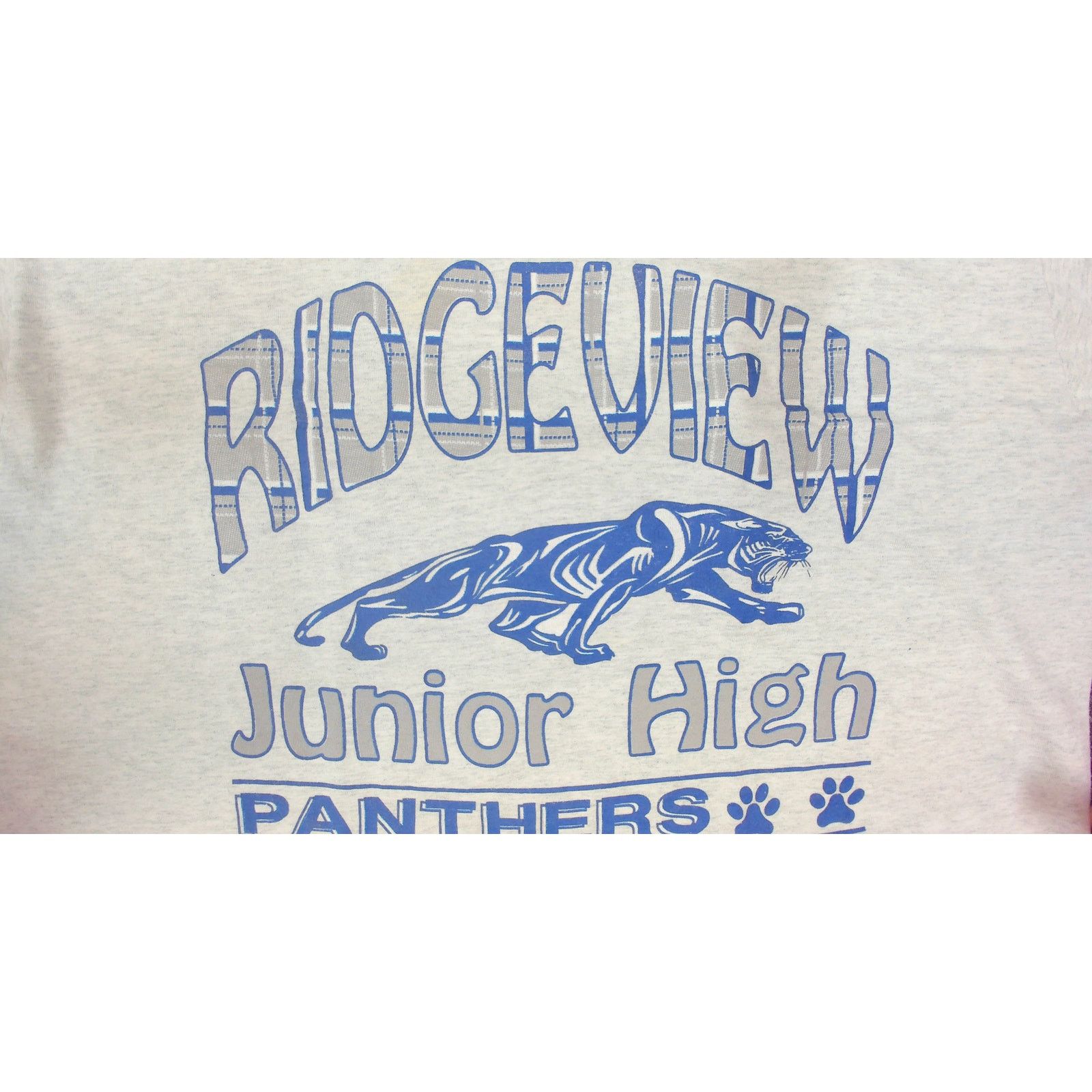 Fruit Of The Loom FOTL Vintage 90s Single Stitch Panthers Blank Tee Large Size US L / EU 52-54 / 3 - 9 Thumbnail