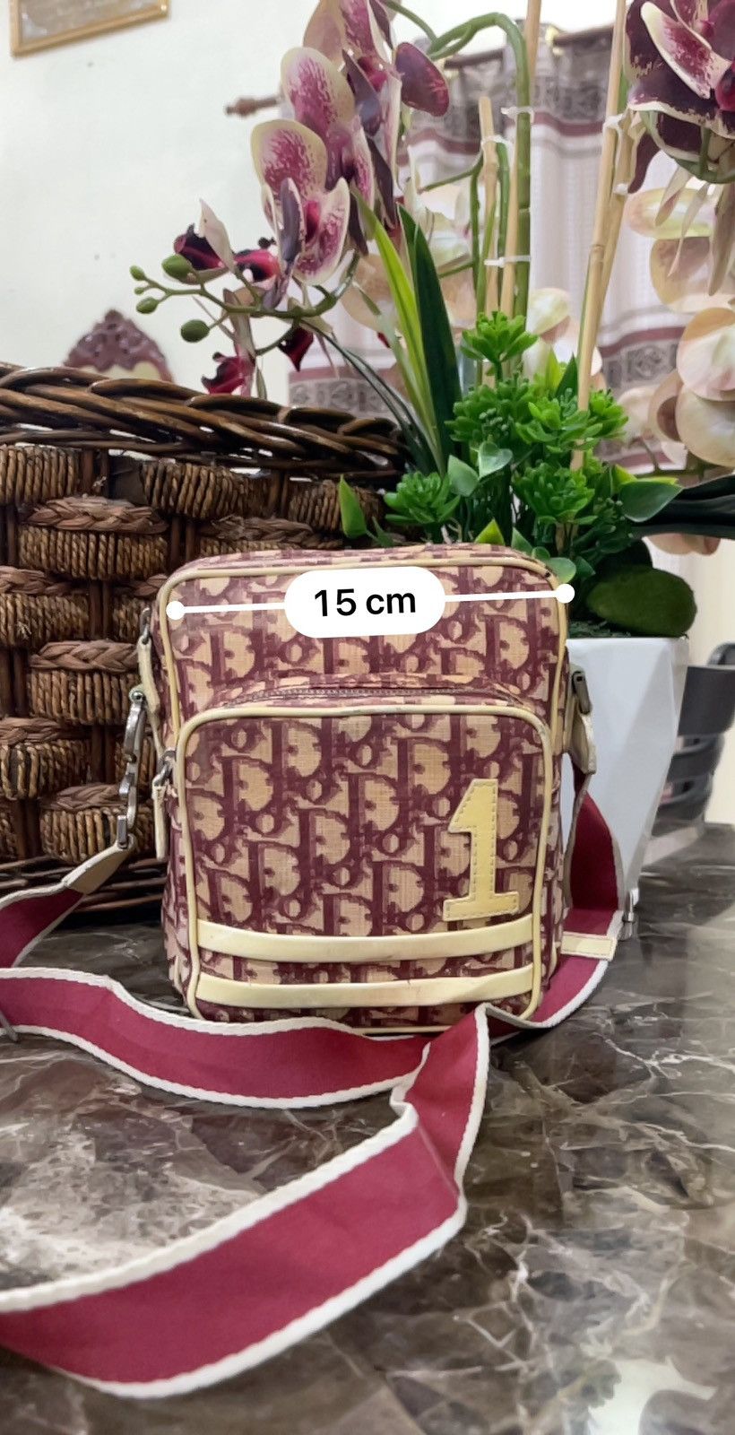 Christian Dior Monsieur CHRISTIAN DIOR Red Trotter Canvas Crossbody Amazon Bag Size ONE SIZE - 21 Thumbnail