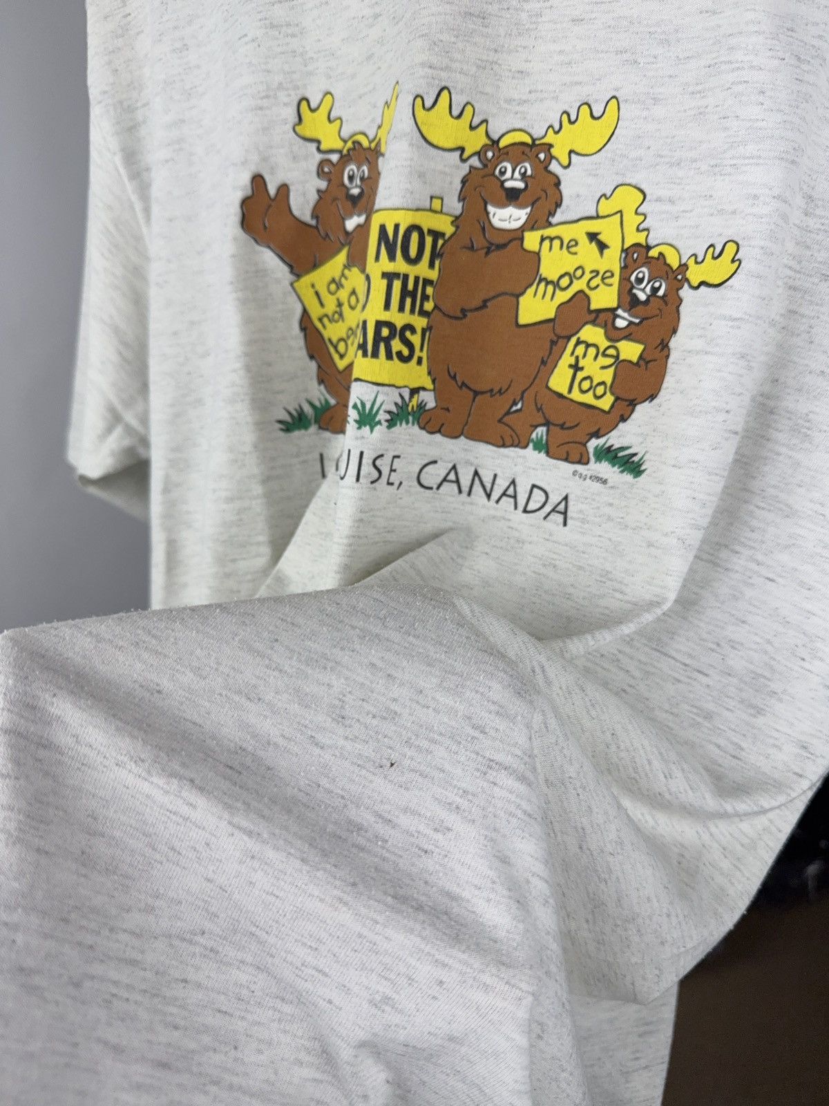The Mountain Vintage 90s Retro Humour Print Lake Louise CANADA Tee Shirt Size US L / EU 52-54 / 3 - 5 Thumbnail