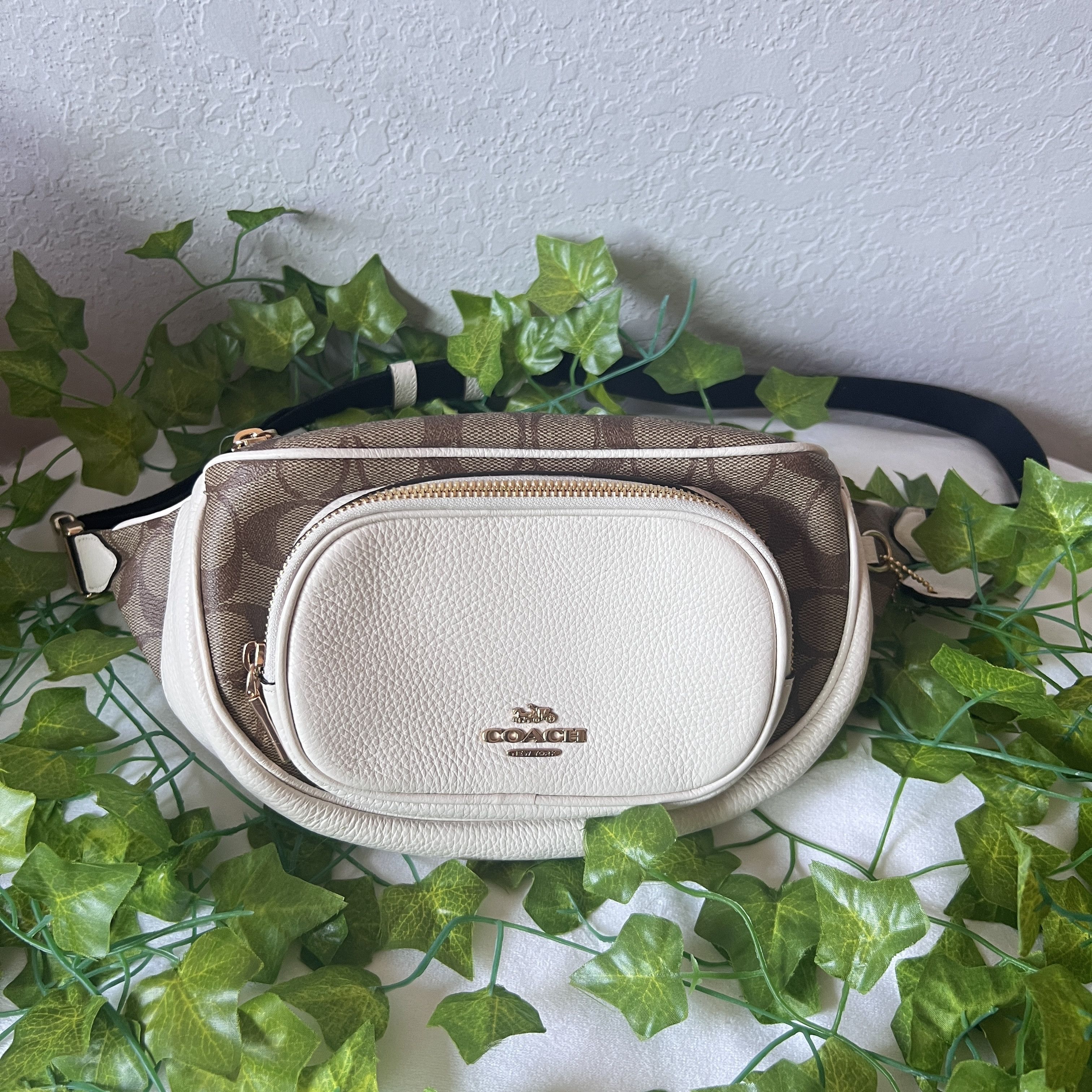 court belt bag coach