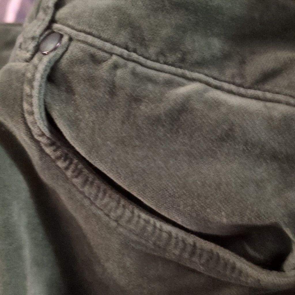 J.McLaughlin J. McLaughlin Green Velour Pants Size 8 Size 30" / US 8 / IT 44 - 9 Thumbnail