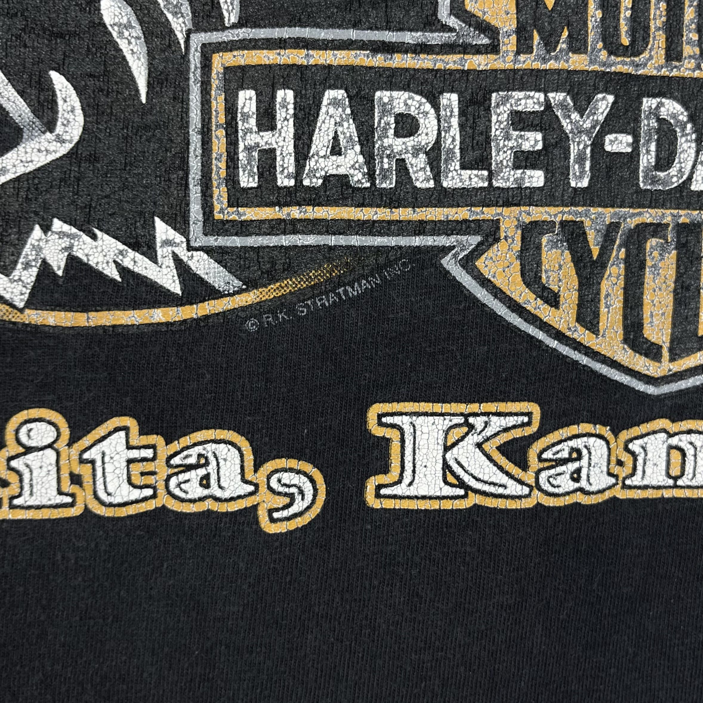 Harley Davidson Vintage Harley Davidson Wings Over America T Shirt 90’s Size US L / EU 52-54 / 3 - 24 Thumbnail